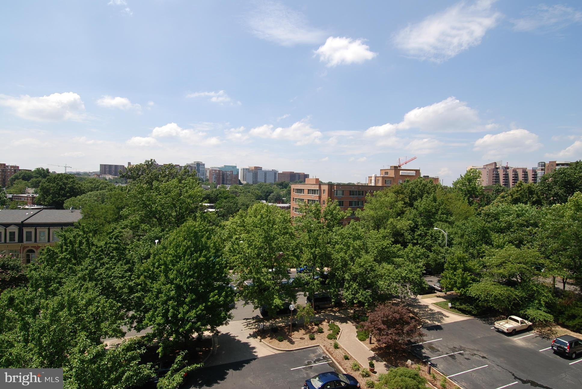 THE WESLIE - Residential Lease