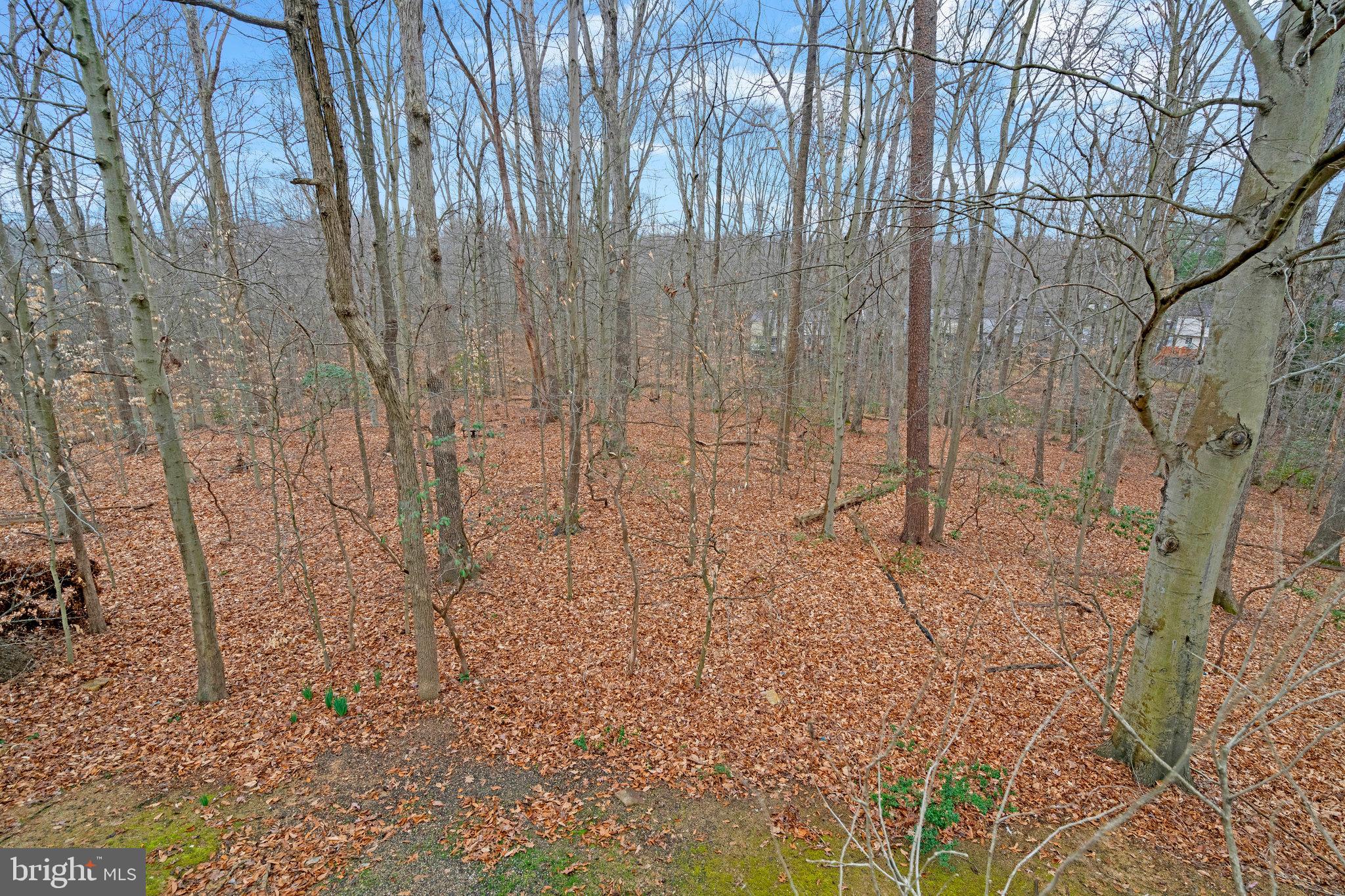 MIDDLEFORD - Residential