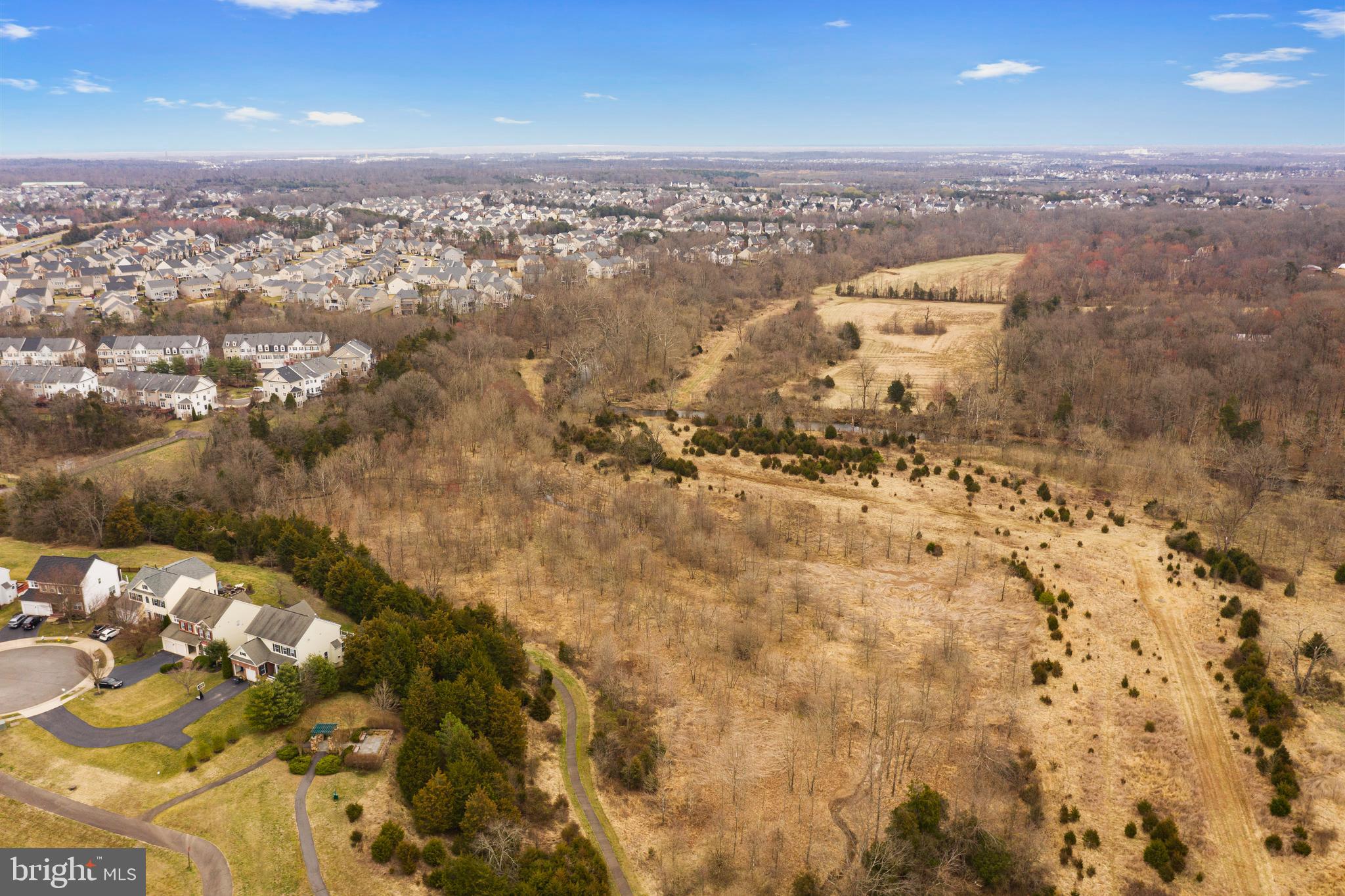 MEADOWS AT MORRIS FARM - Residential