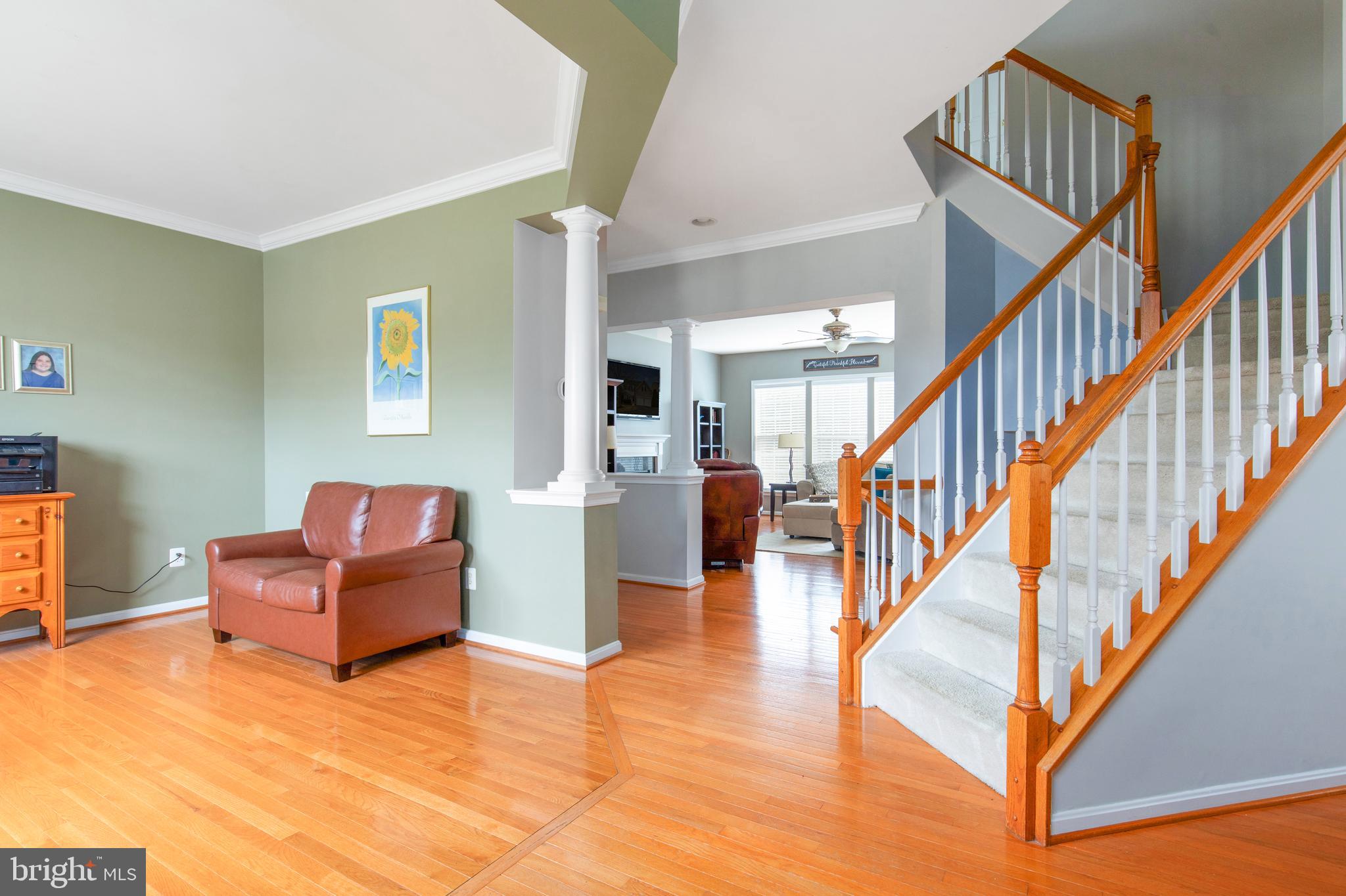 MEADOWS AT MORRIS FARM - Residential