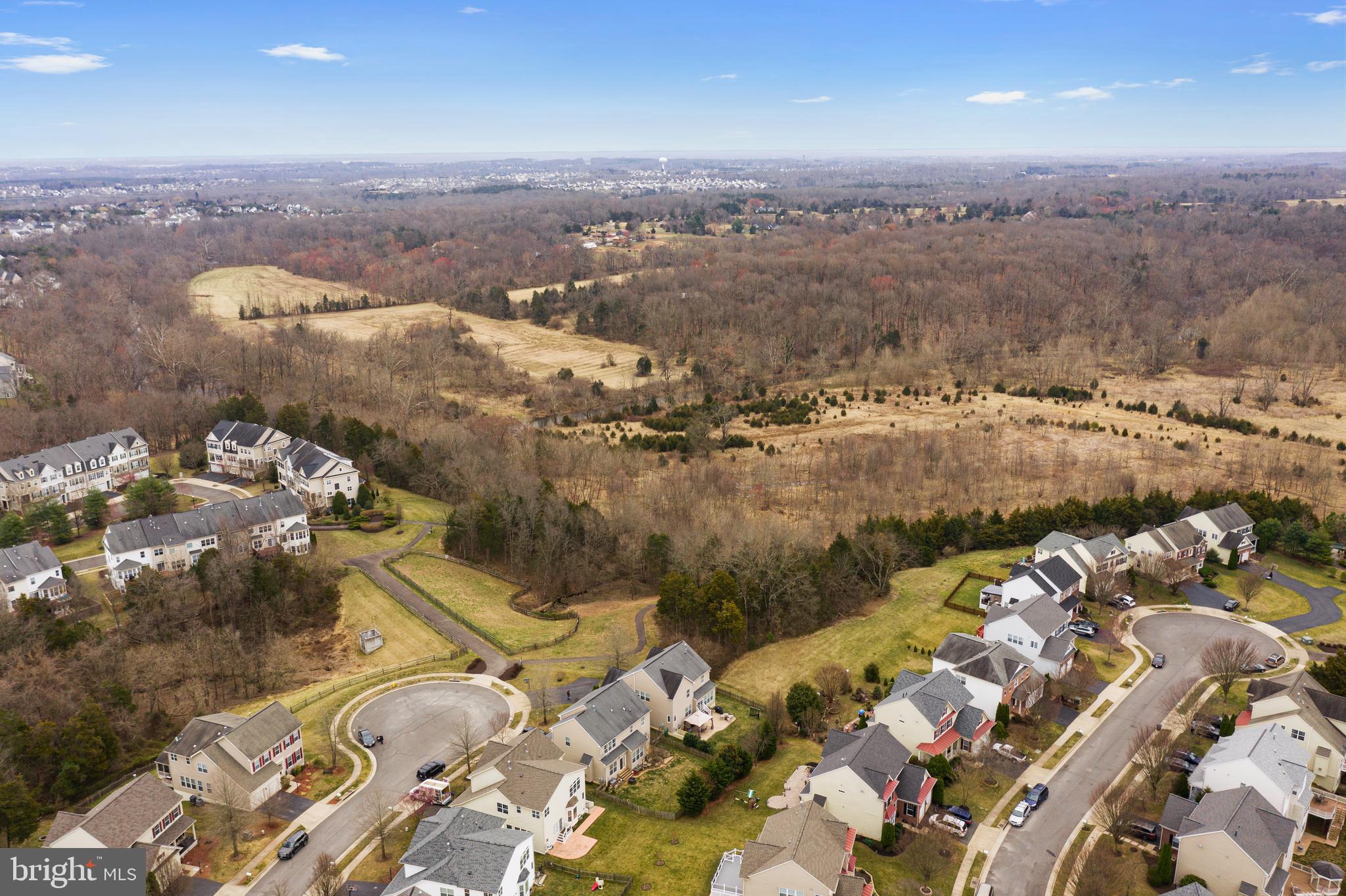 MEADOWS AT MORRIS FARM - Residential