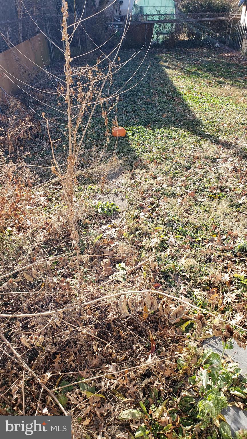 BURHOLME - Residential