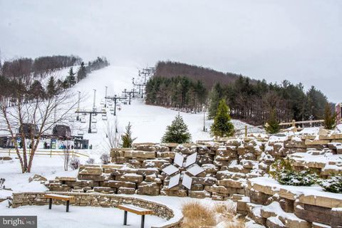 290 MARSH HILL ROAD 768F MC HENRY MD 21541