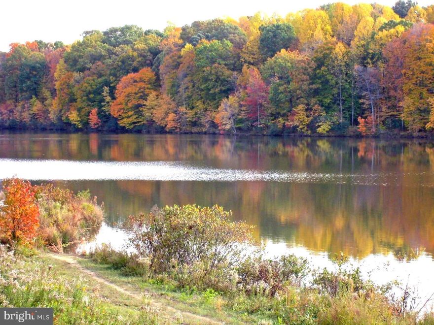 Location, Location, Location! Enjoy the comfort and design of this three level town home that has so much to offer—spacious bedrooms, eat-in kitchen, cedar-lined walk-in closet. There’s more! The basement has a wet bar and a wood burning fireplace. The fenced yard has a rock garden, an oversize deck that backs to a wooded area and a view of the Huntsman! The lake area offers a fabulous walking/jogging path or the option of catch-and-release fishing. One can bring a kayak or stand-up paddle board too. Additionally, the property is located in the desirable West Springfield School Pyramid! The tot lot is a short walk. The area is commuter friendly -- walk to Metro Bus Stops; isn’t far to slug line, VRE train and 495. Pet deposit $500. Please no cats.