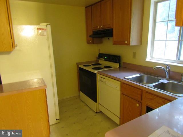 13607 JACQUELINE COURT