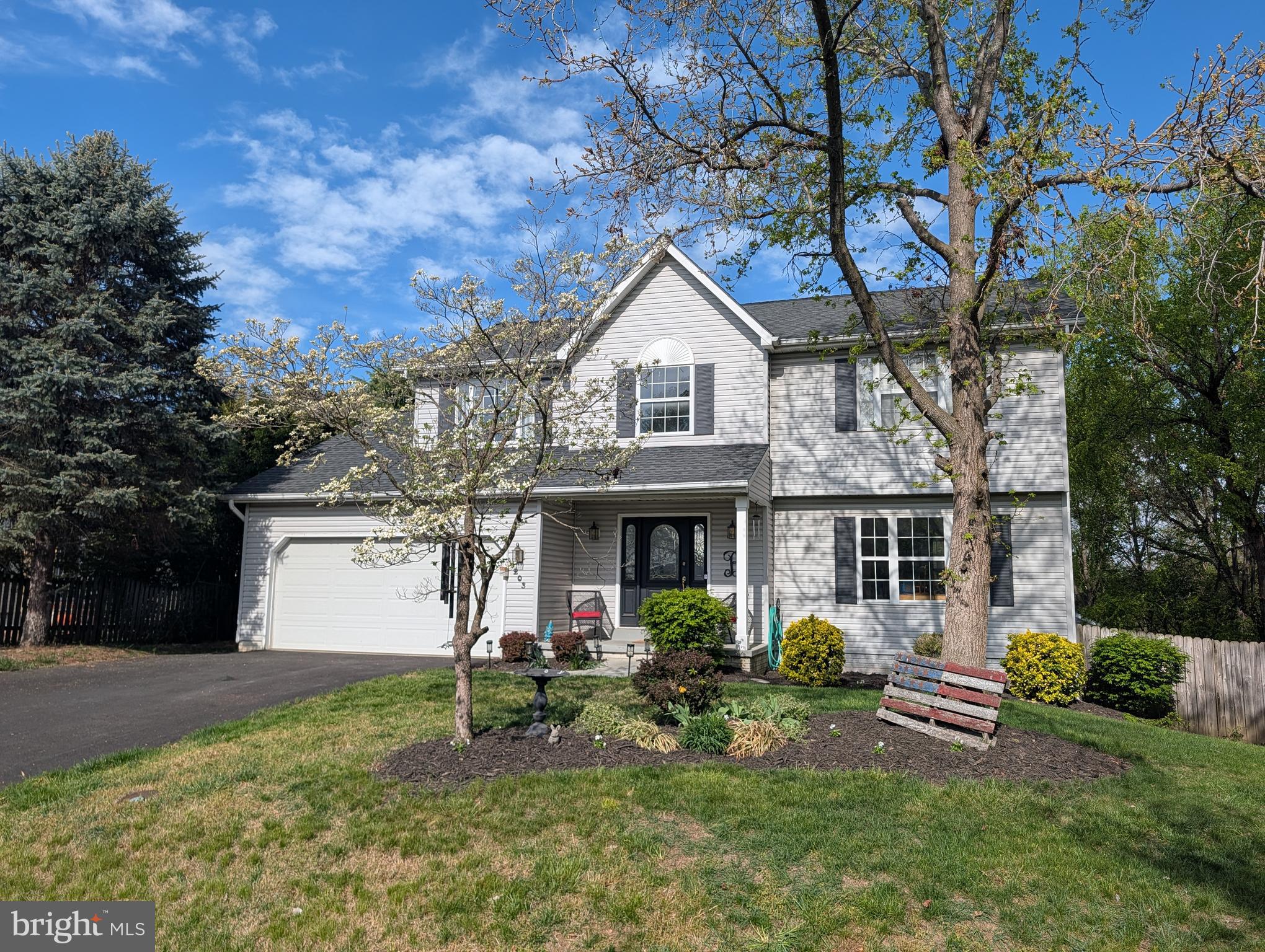 203 ALPINE MEADOW ROAD