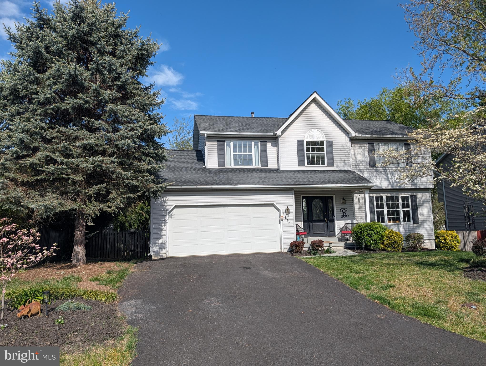 203 ALPINE MEADOW ROAD