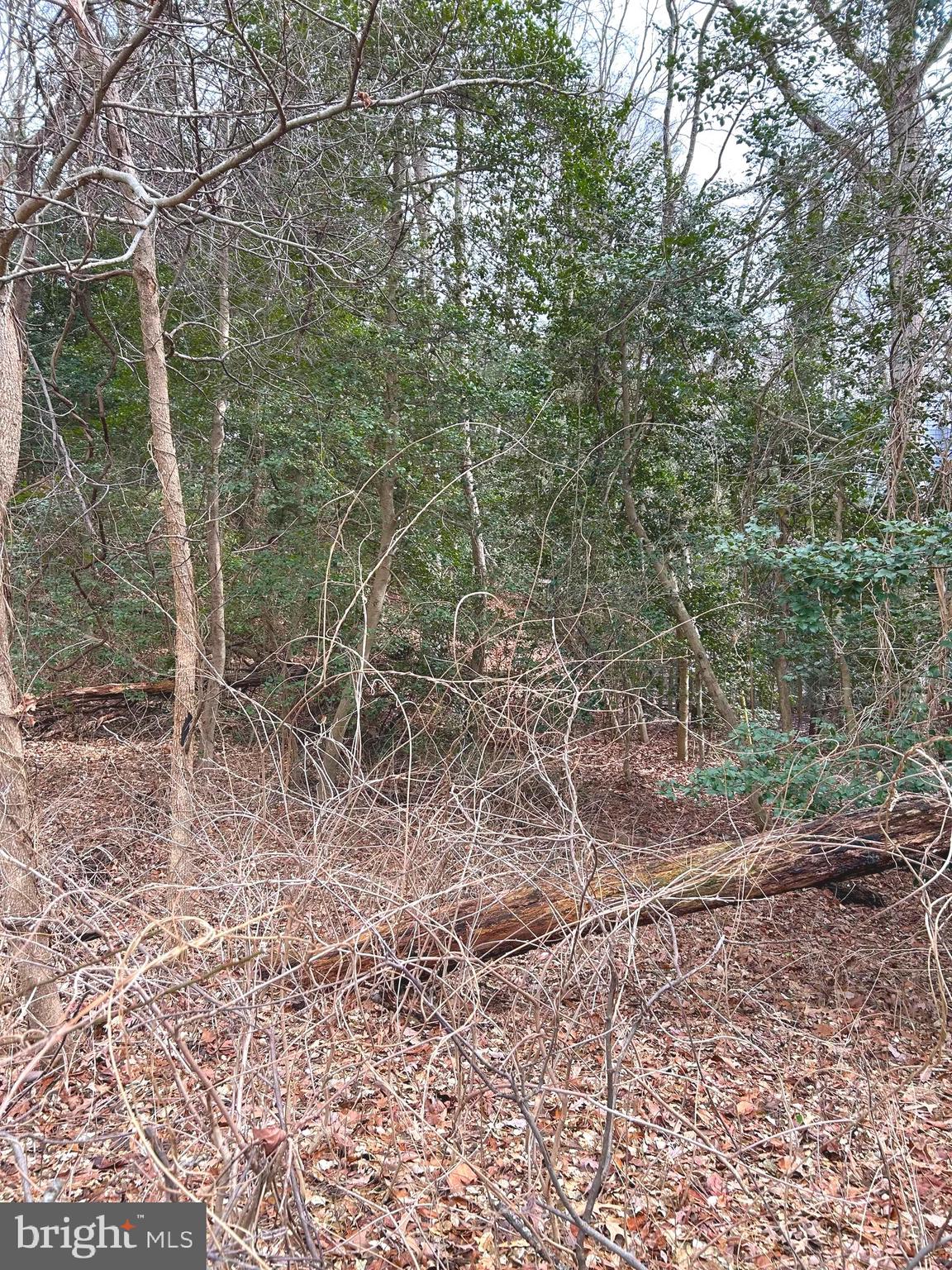 HERALD HARBOR - Land