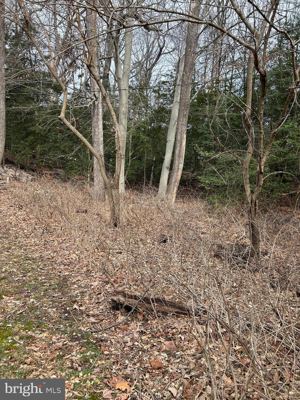 HERALD HARBOR - Land