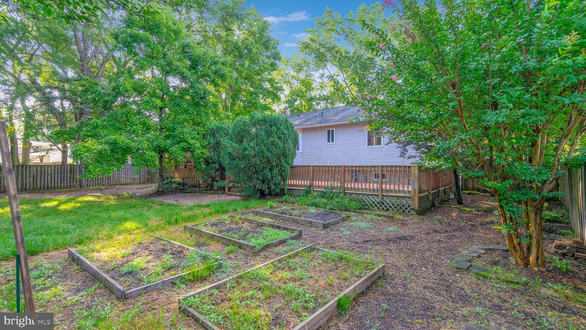 CHALET WOODS - Residential Lease