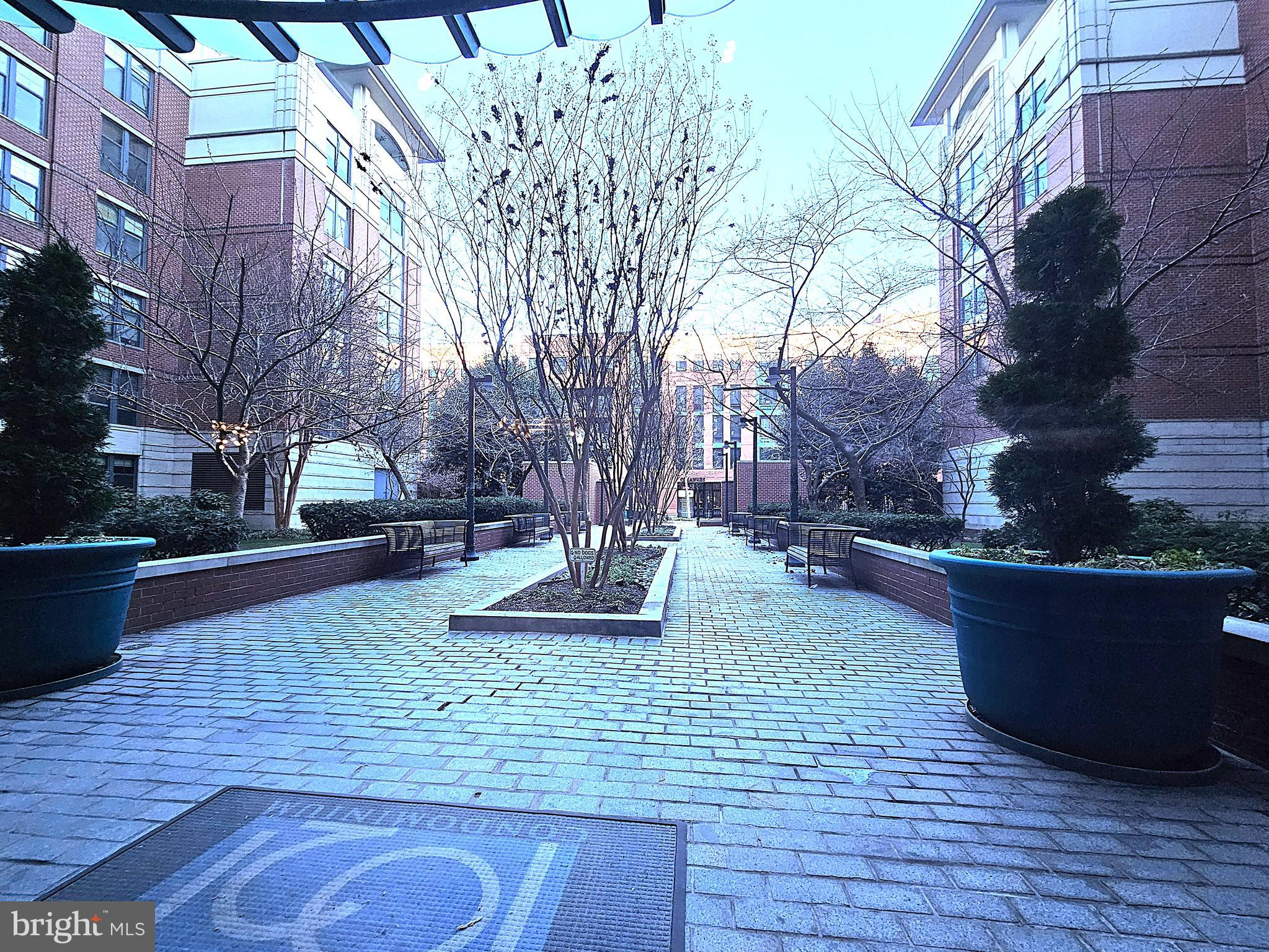 1021 N GARFIELD STREET 218