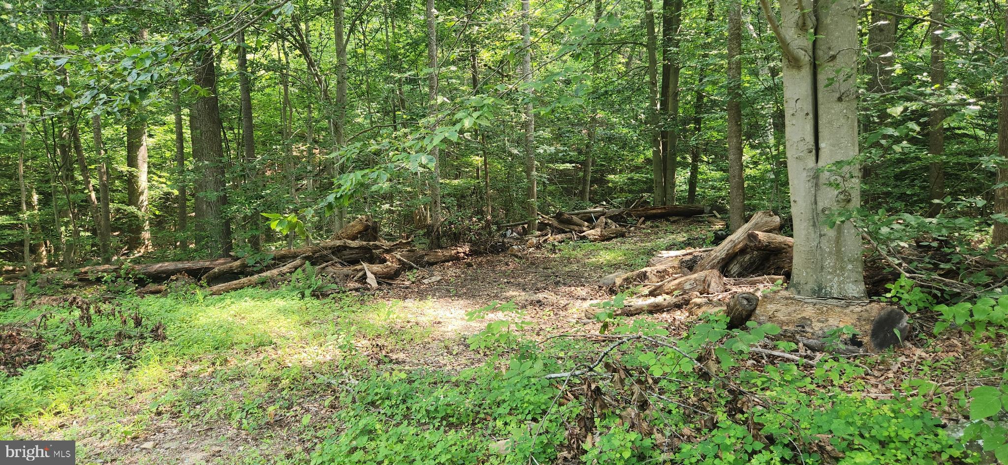 Lot 202 & 203 BOBBIE COURT