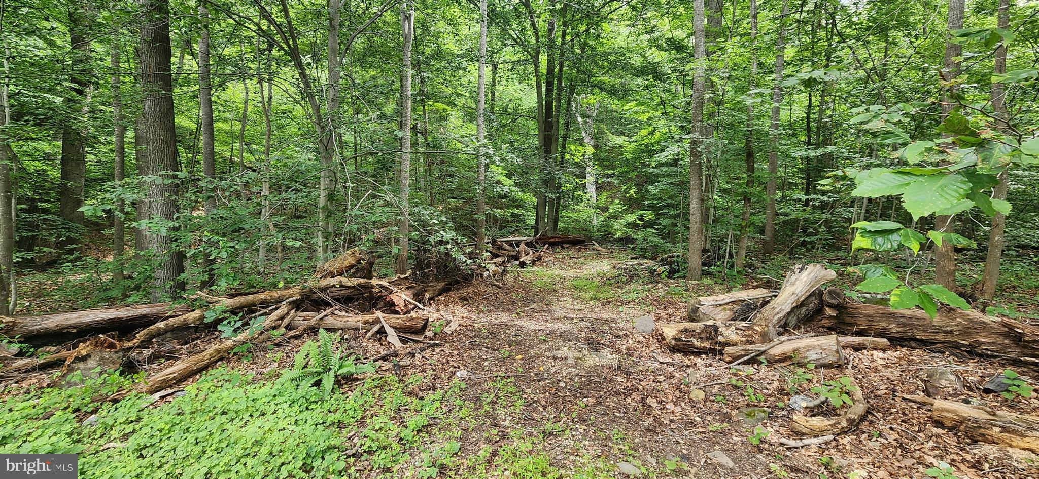 Lot 202 & 203 BOBBIE COURT