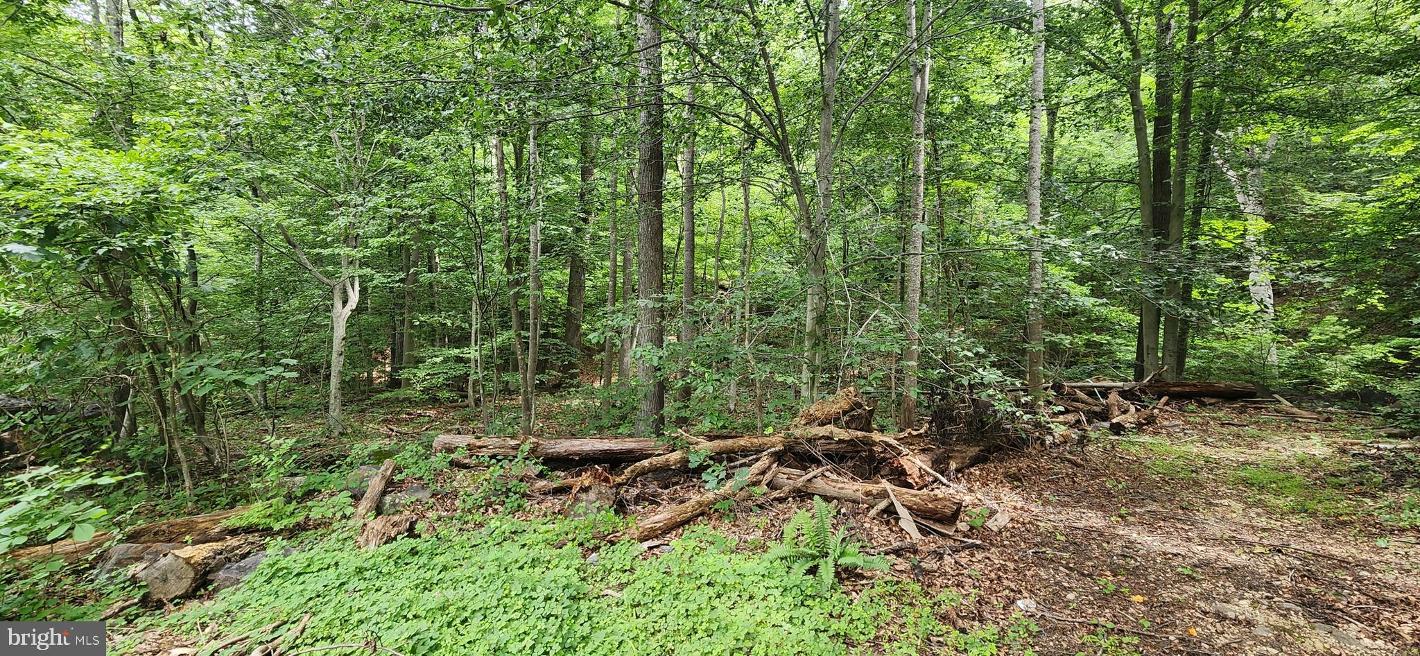 Lot 202 & 203 BOBBIE COURT