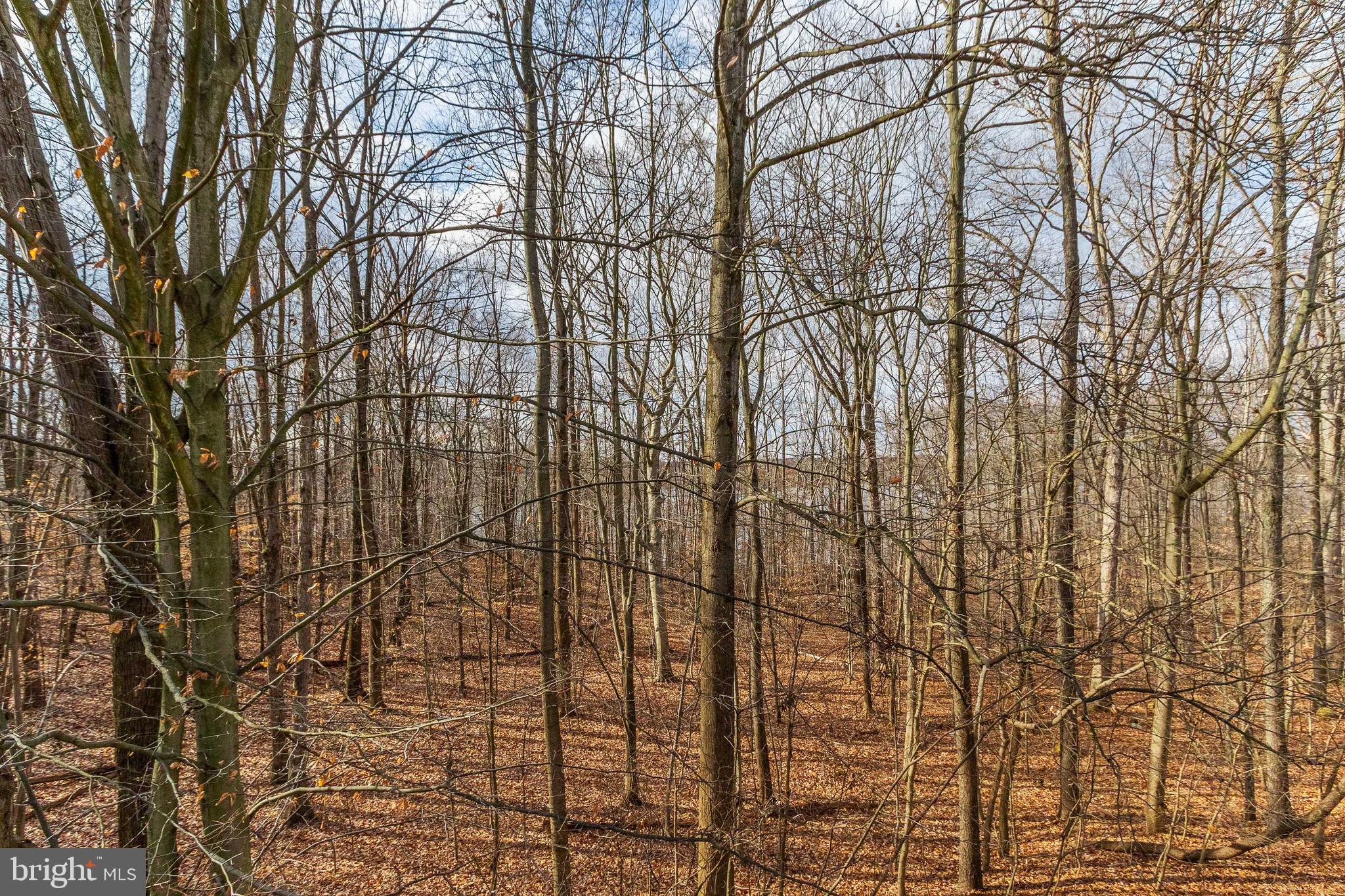 CHURCHILL TOWN SECTOR - Residential