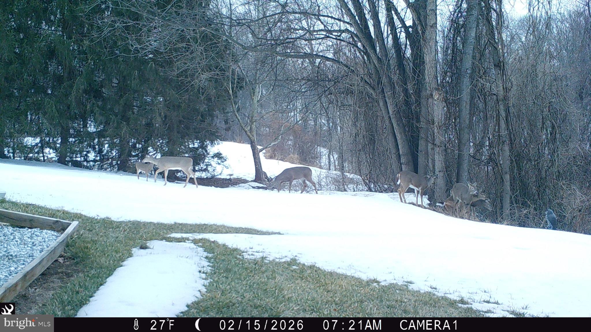 HUNTERS CROSSING - Residential