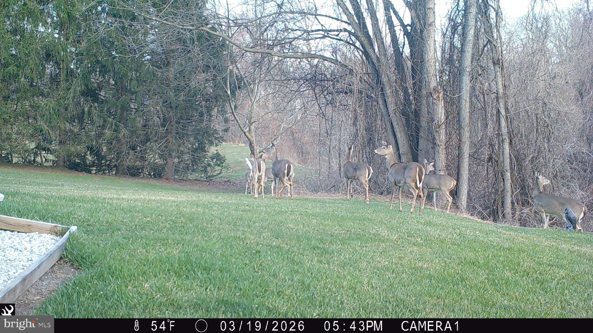 HUNTERS CROSSING - Residential