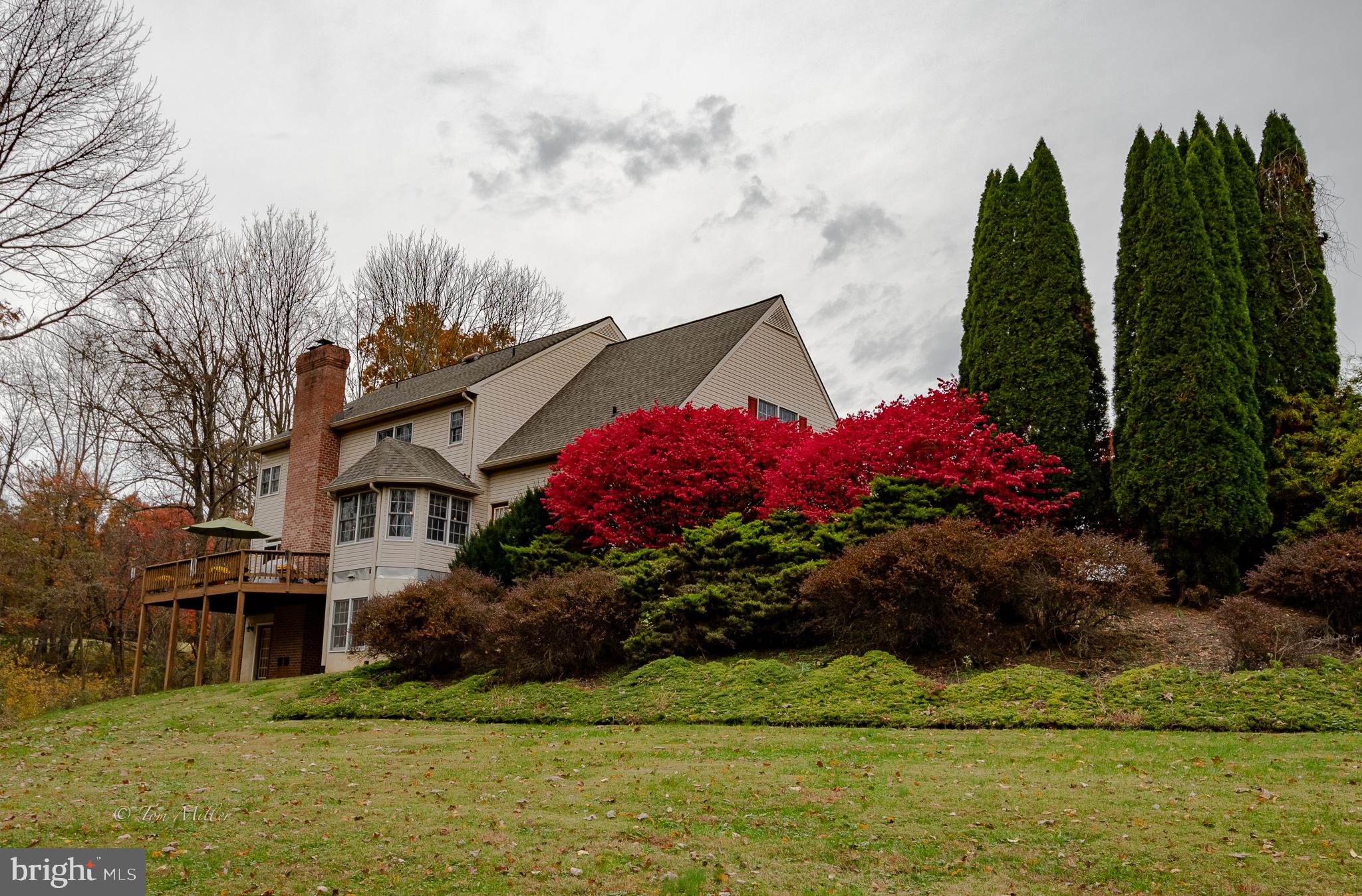 BEE TREE MILL - Residential