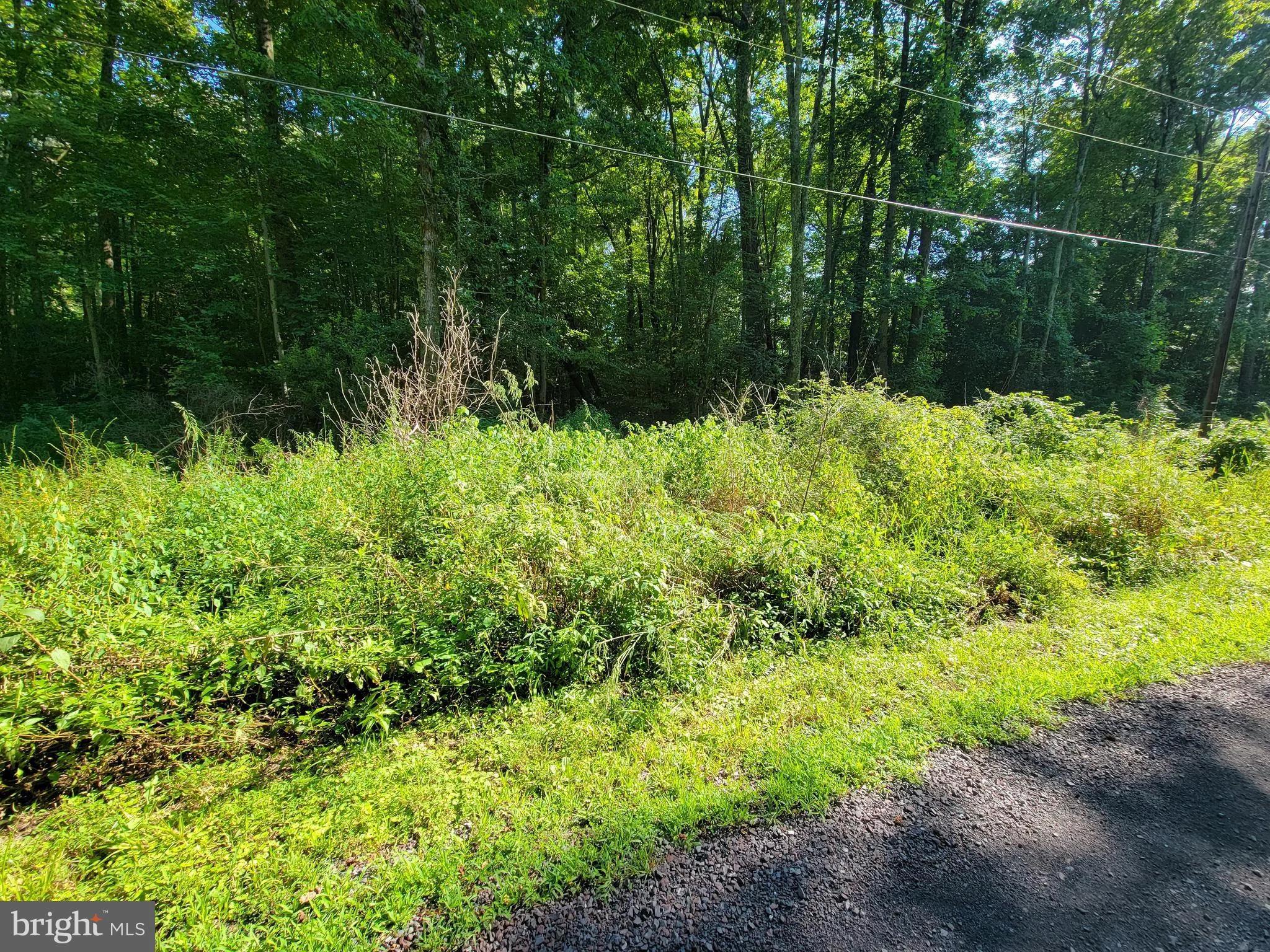 Azure Drive, Colonial Beach, VA 22443