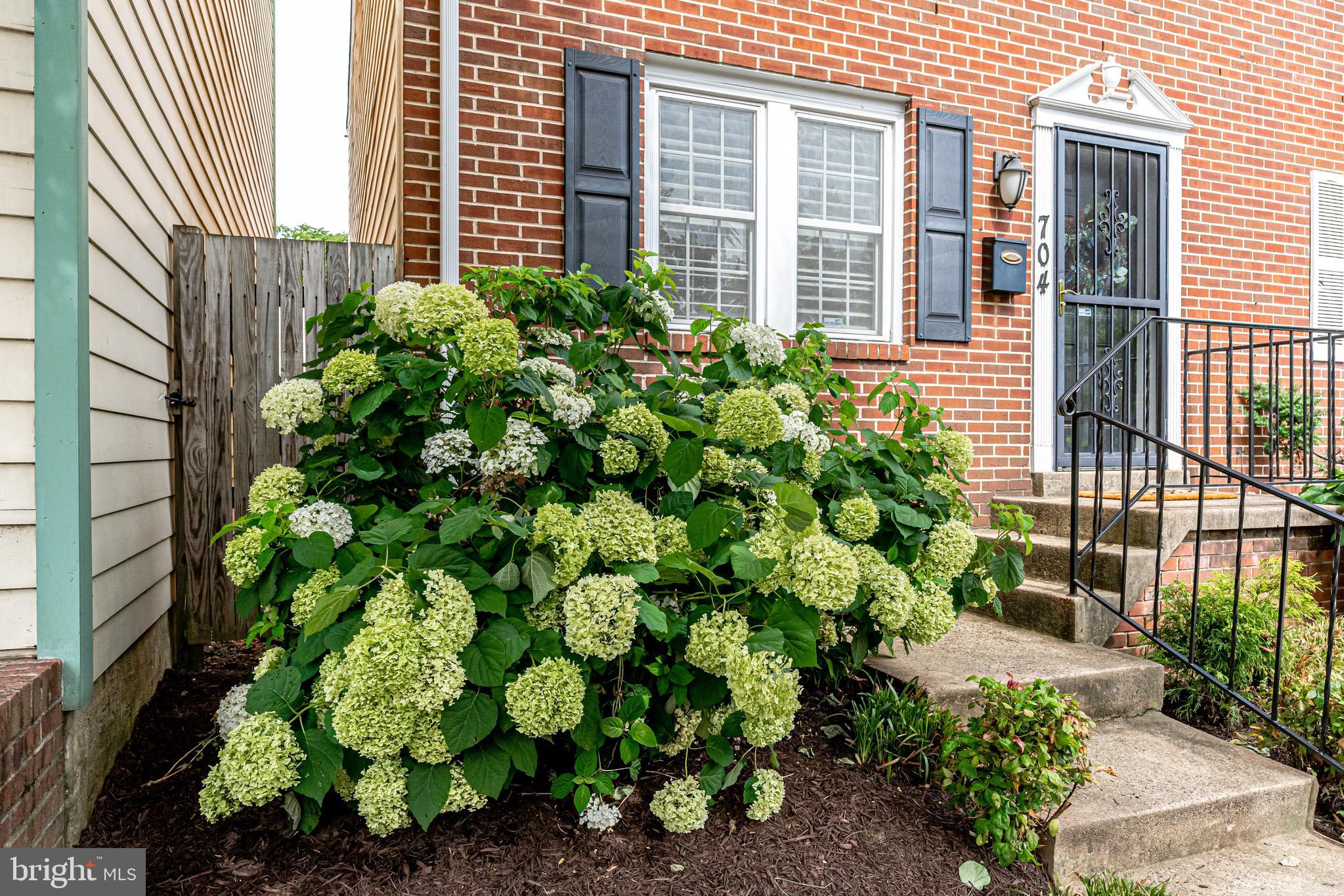 PARKER GRAY HISTORIC DISTRICT - Residential