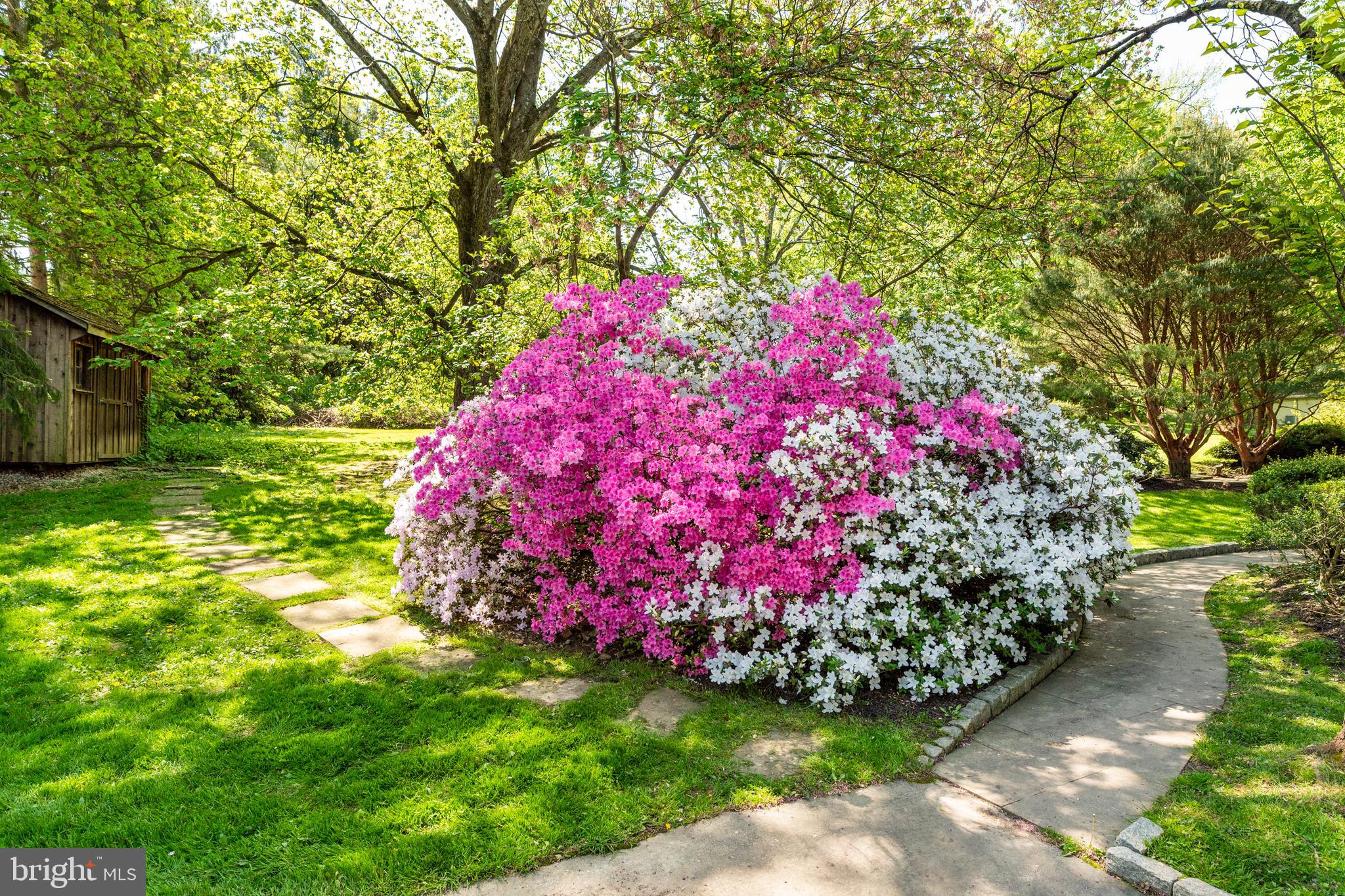 GLADWYNE - Residential