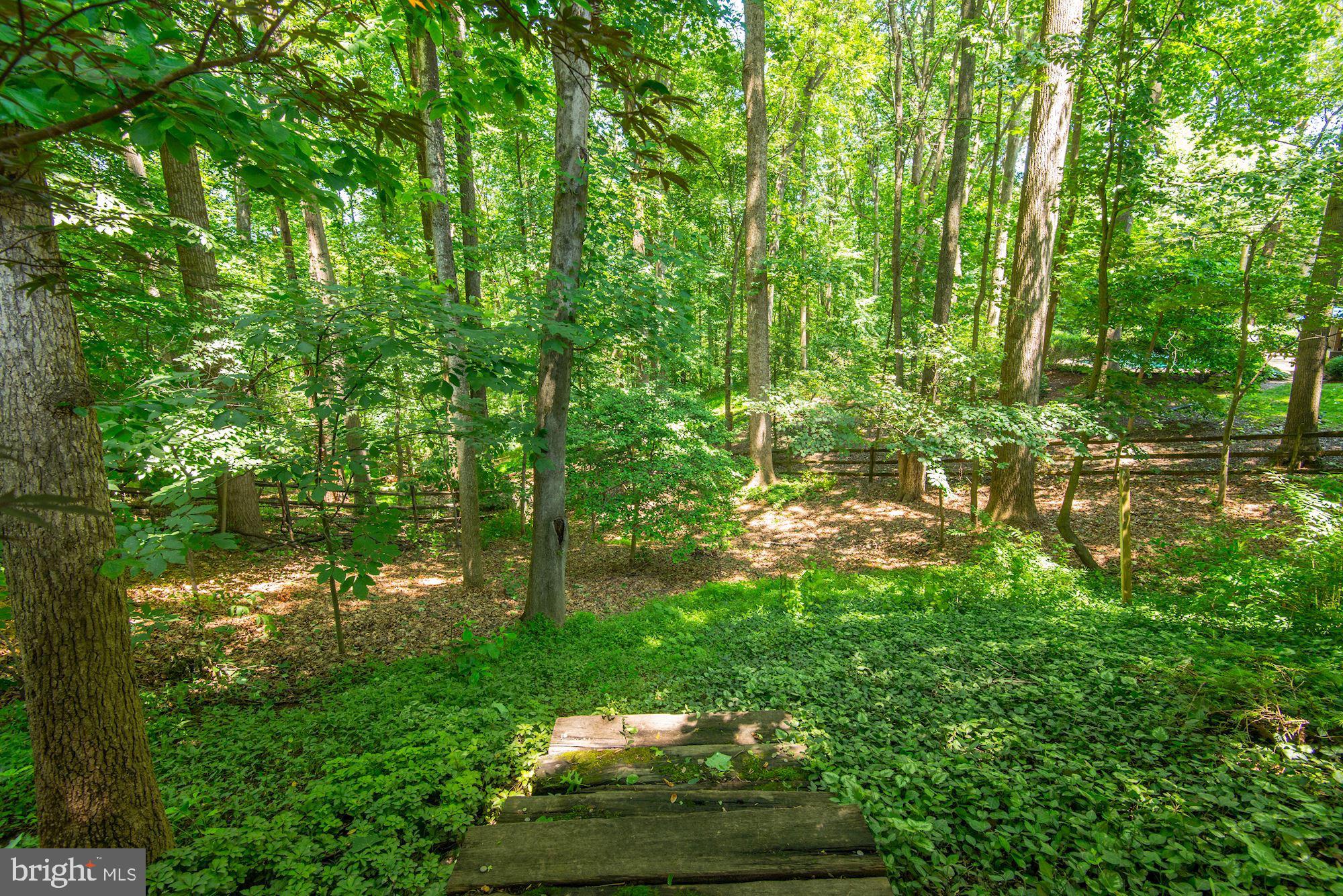 THE PALISADES - Residential