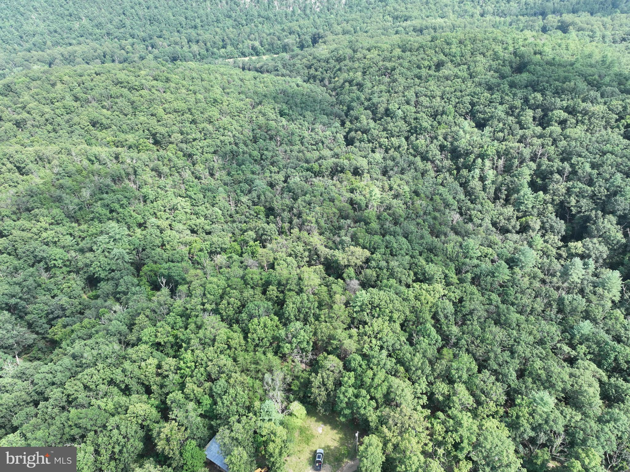 CEDAR GROVE ESTATES - Land