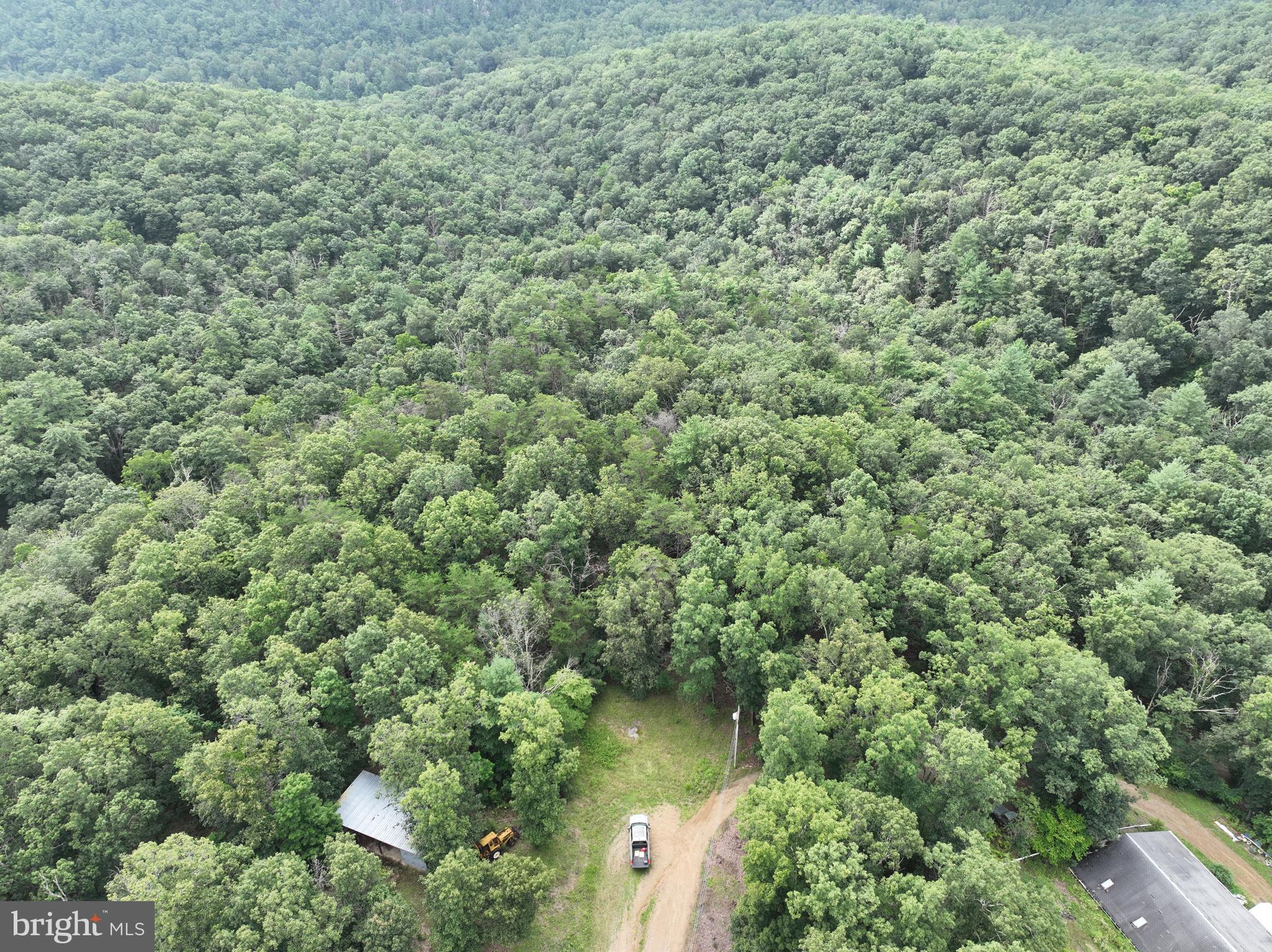 CEDAR GROVE ESTATES - Land