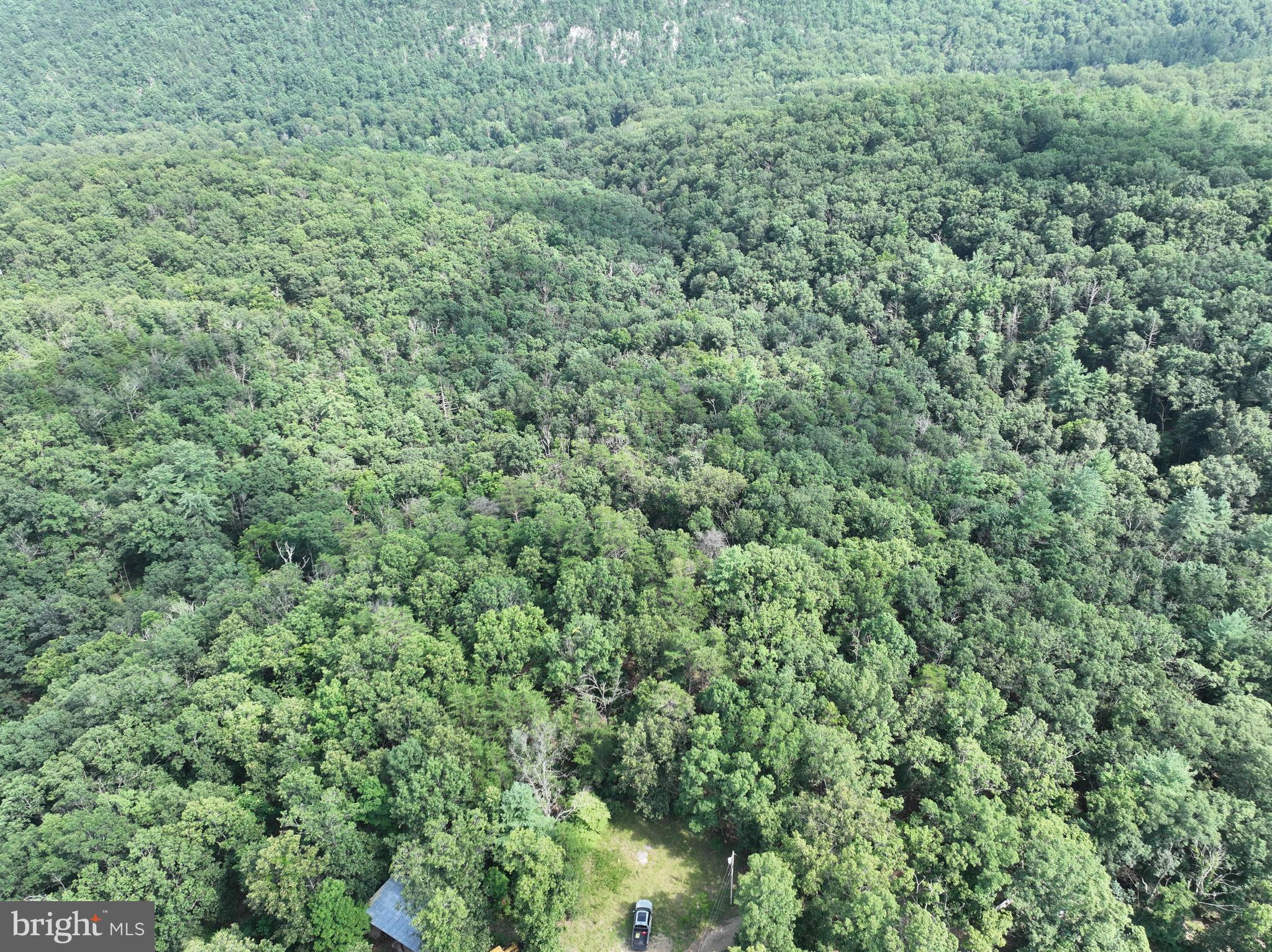 CEDAR GROVE ESTATES - Land