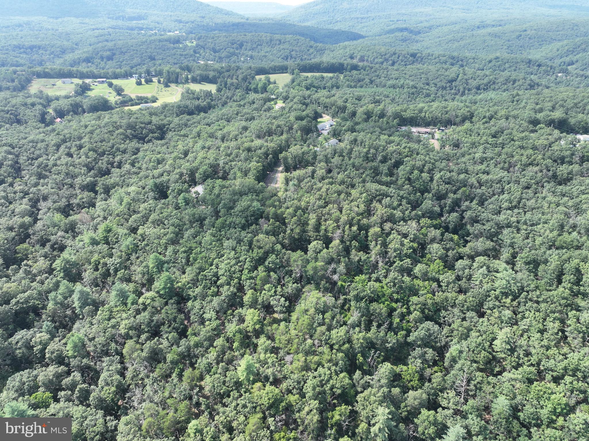 CEDAR GROVE ESTATES - Land