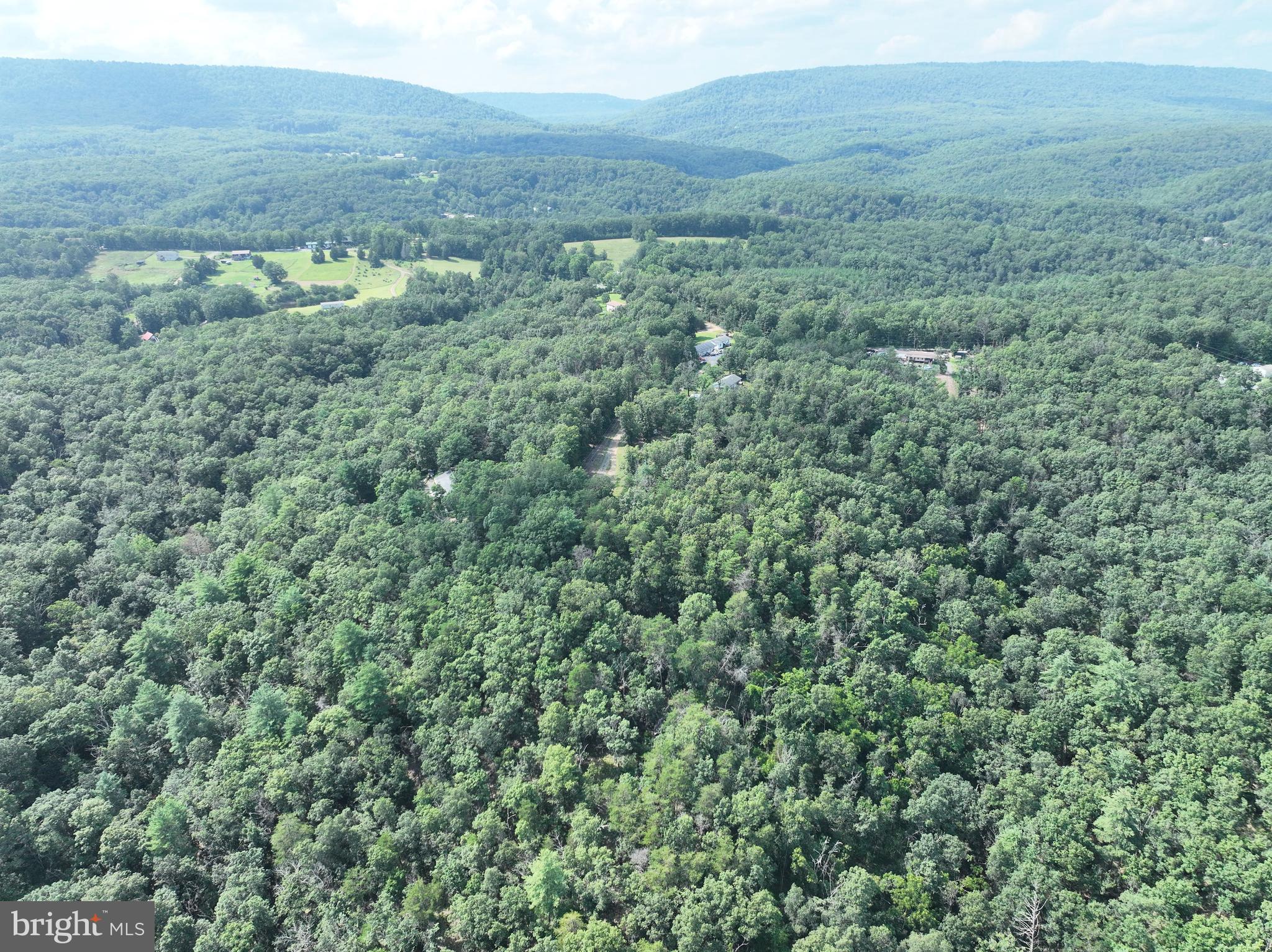 CEDAR GROVE ESTATES - Land