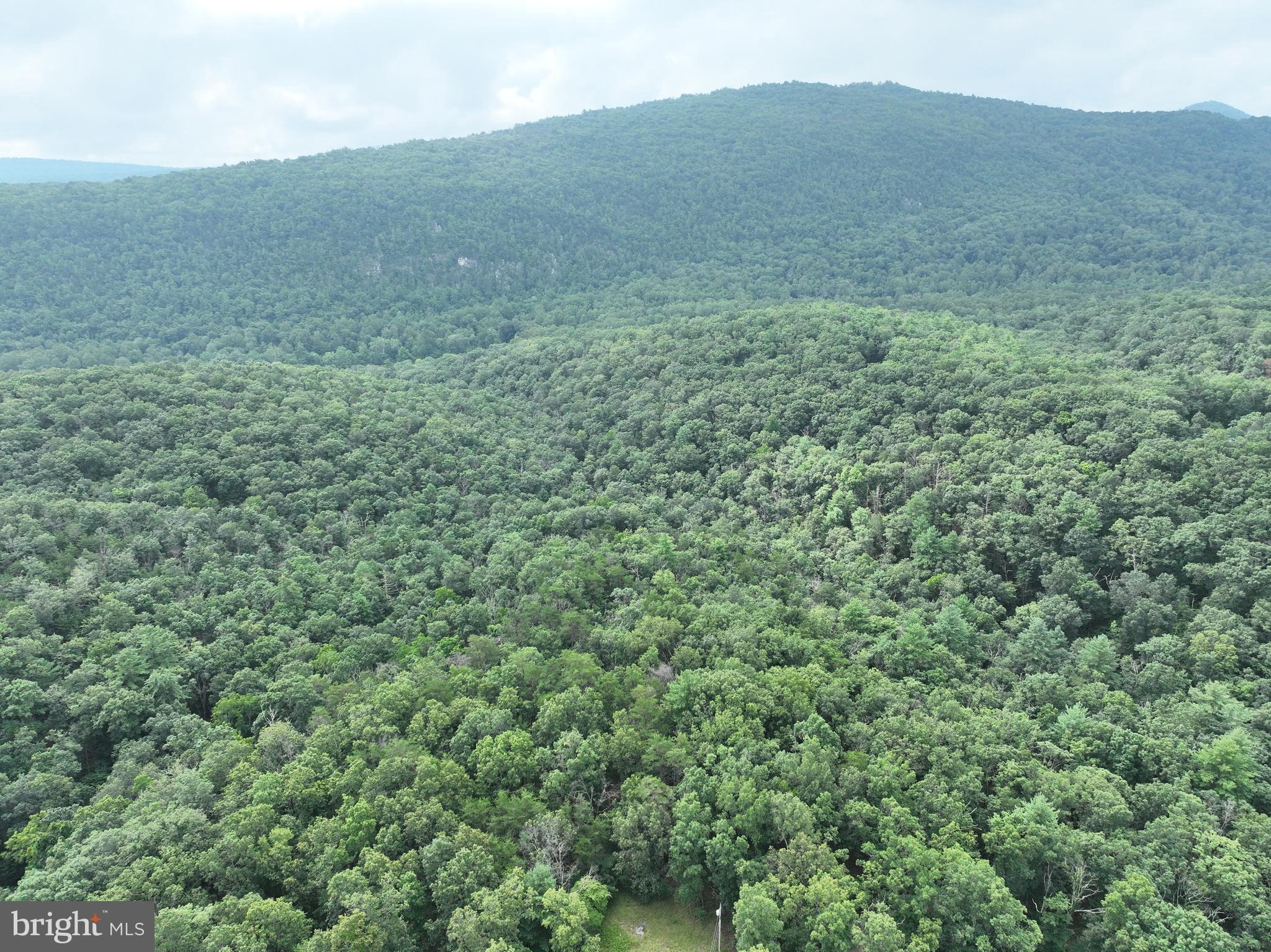 CEDAR GROVE ESTATES - Land