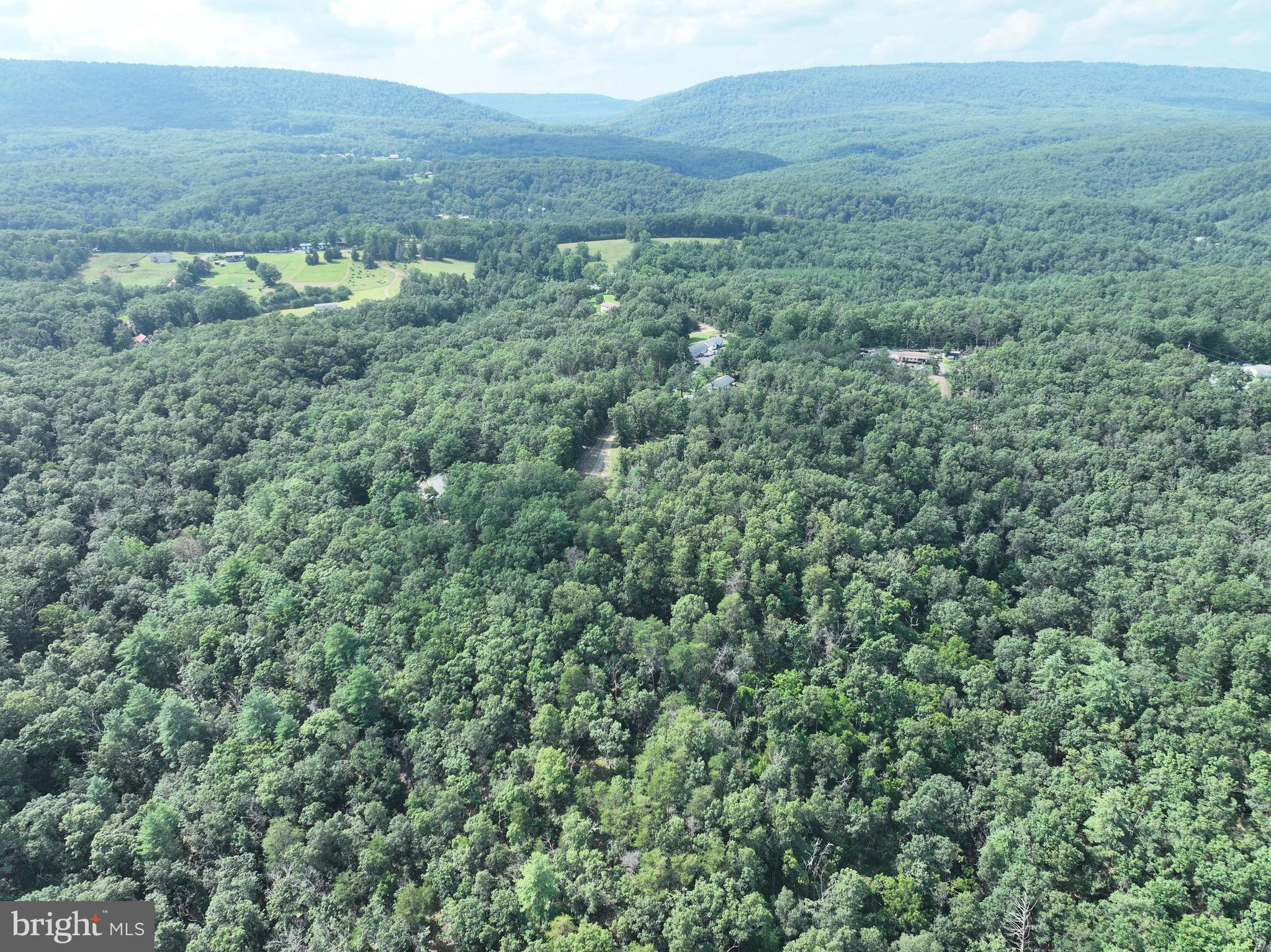 CEDAR GROVE ESTATES - Land