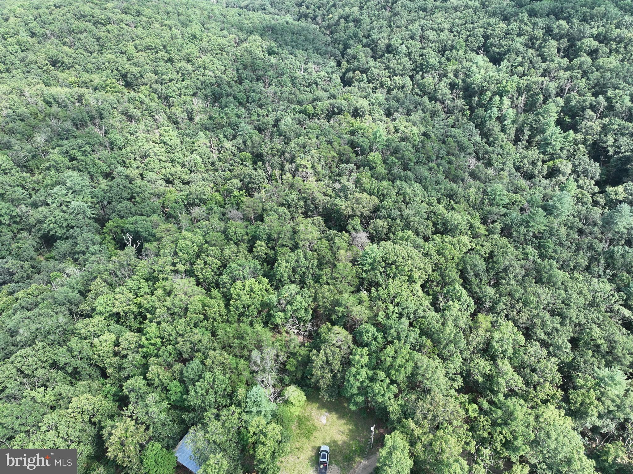 CEDAR GROVE ESTATES - Land