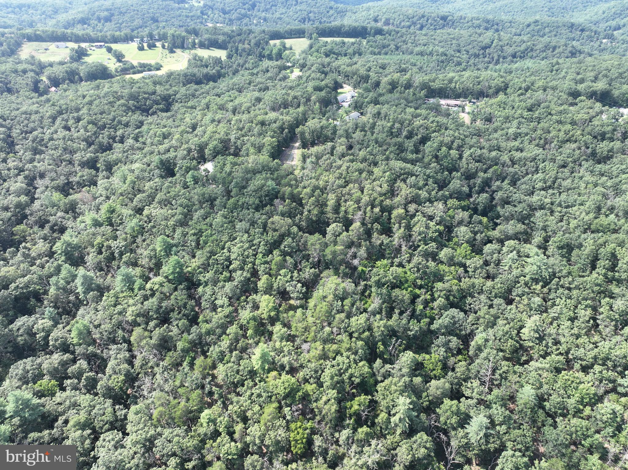 CEDAR GROVE ESTATES - Land