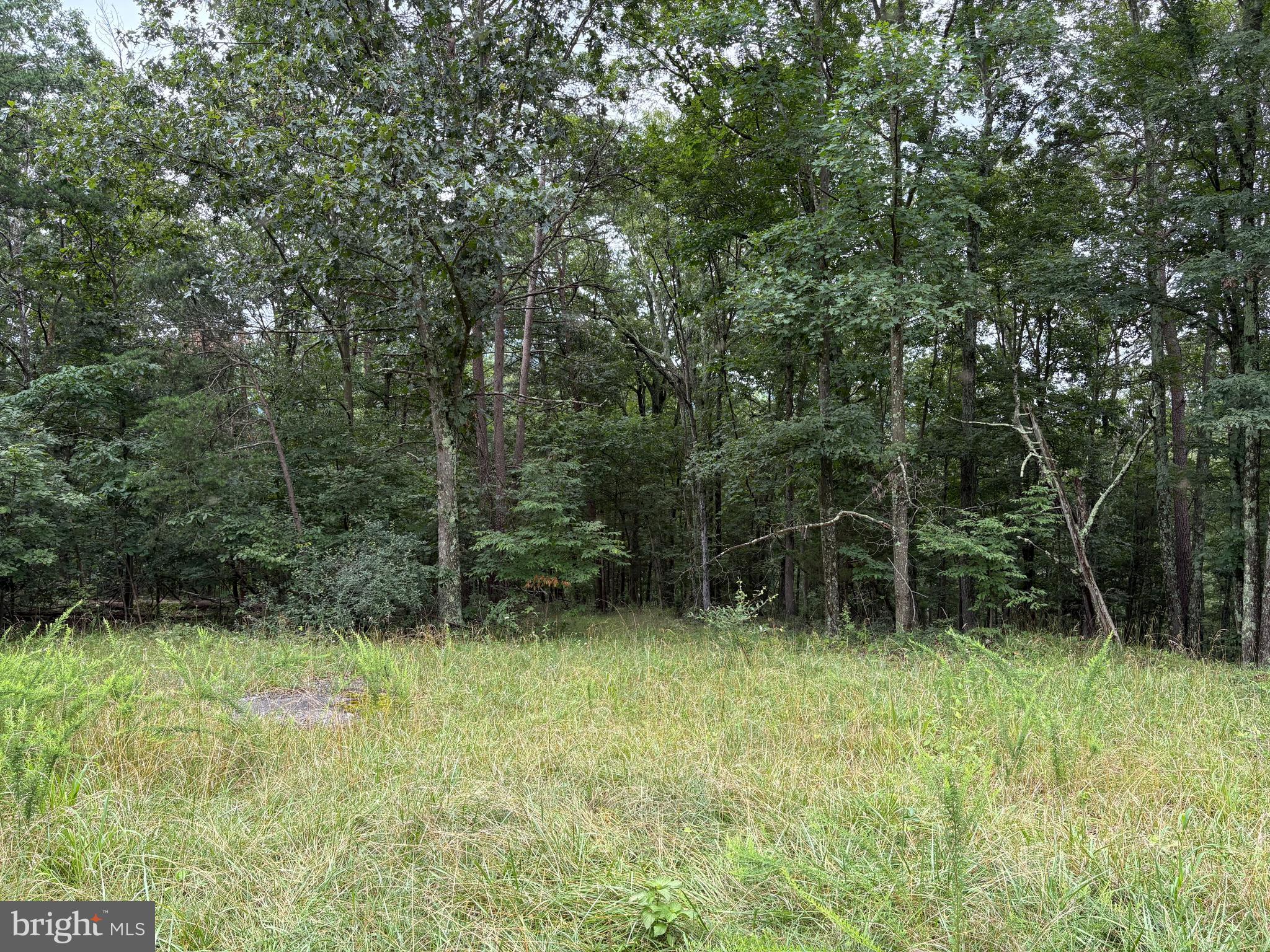 CEDAR GROVE ESTATES - Land