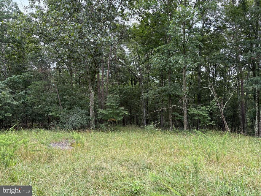 If you’re after easy access, serious privacy, and land with real backbone—this is it. 9.31 acres of hardwood forest in Cedar Grove Estates, tucked between Slanesville and Bloomery in Hampshire County, WV. Just a few turns off County Route 127, you're on your own piece of ground in no time—30 minutes from Winchester, under two hours from D.C., but a world away from the grind. This tract is fully wooded with solid timber and a clean, gradual slope—ideal for building a full-time residence, a weekend retreat, or an off-grid escape with no limits. Electric is nearby. No steep climbs or rocky nonsense—just usable land, thick cover, and peace you can’t fake. There's a neighbor up by the entrance, but if you'd rather not see a soul, you’ve got the space and tree cover to make that happen. The land is strong, the price is right, and the opportunity is real. Make the call, stake your claim, and take control of your own ground—before someone else beats you to it.