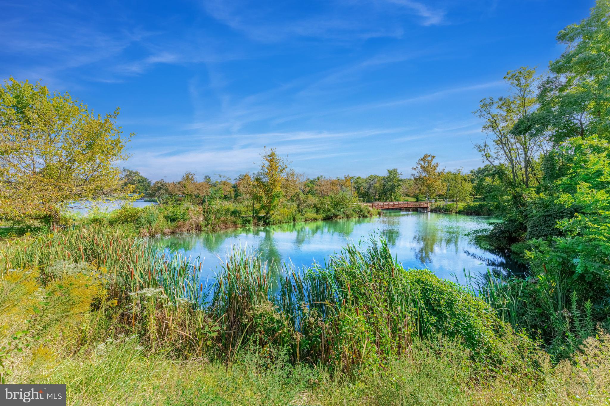 CAMERON STATION - Residential