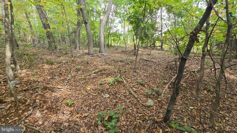Lot 20 LONG VIEW DR LURAY VA 22835