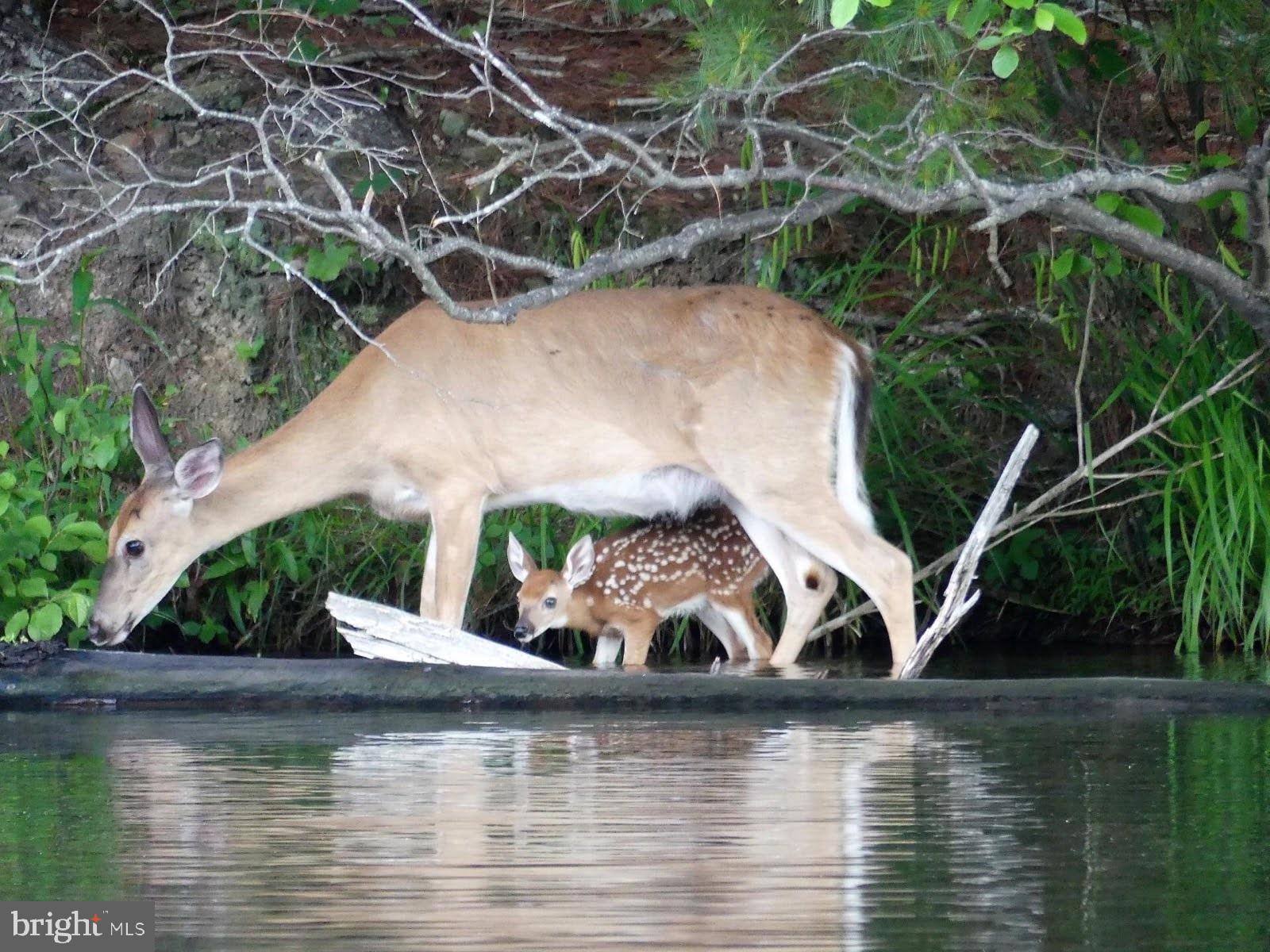 LAKE HOLIDAY ESTATES - Residential