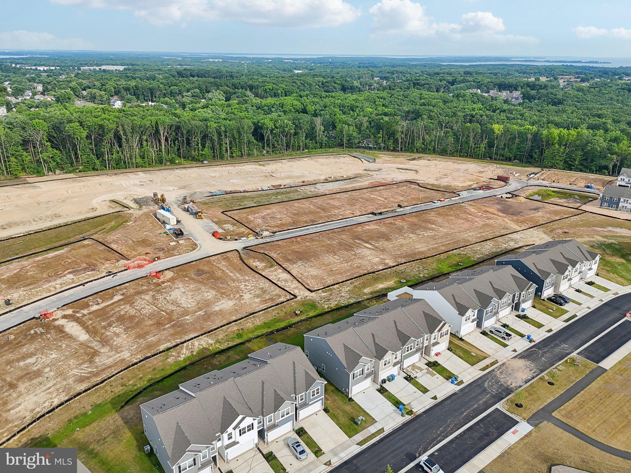 RIDGELY'S RESERVE - Residential