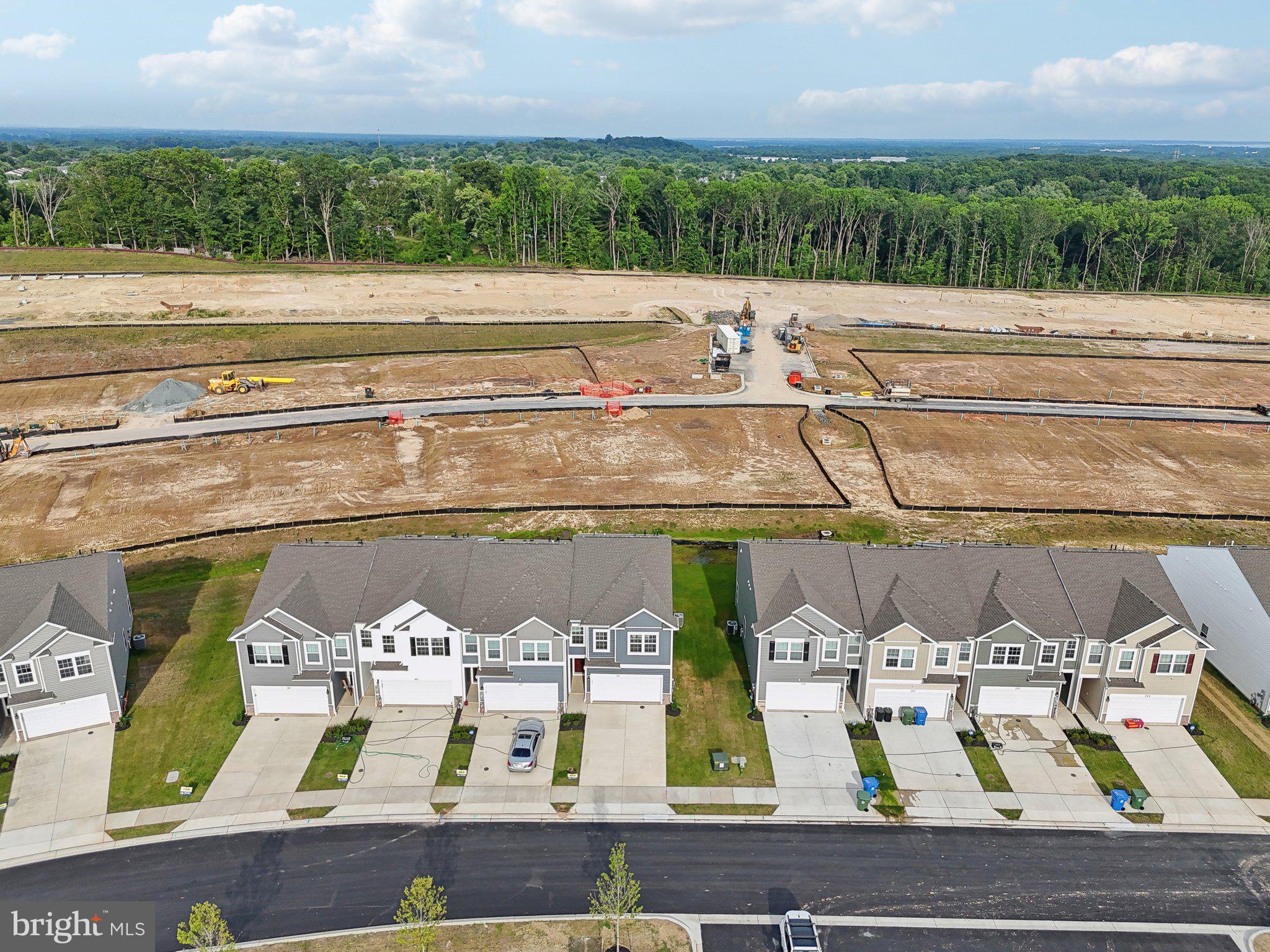 RIDGELY'S RESERVE - Residential