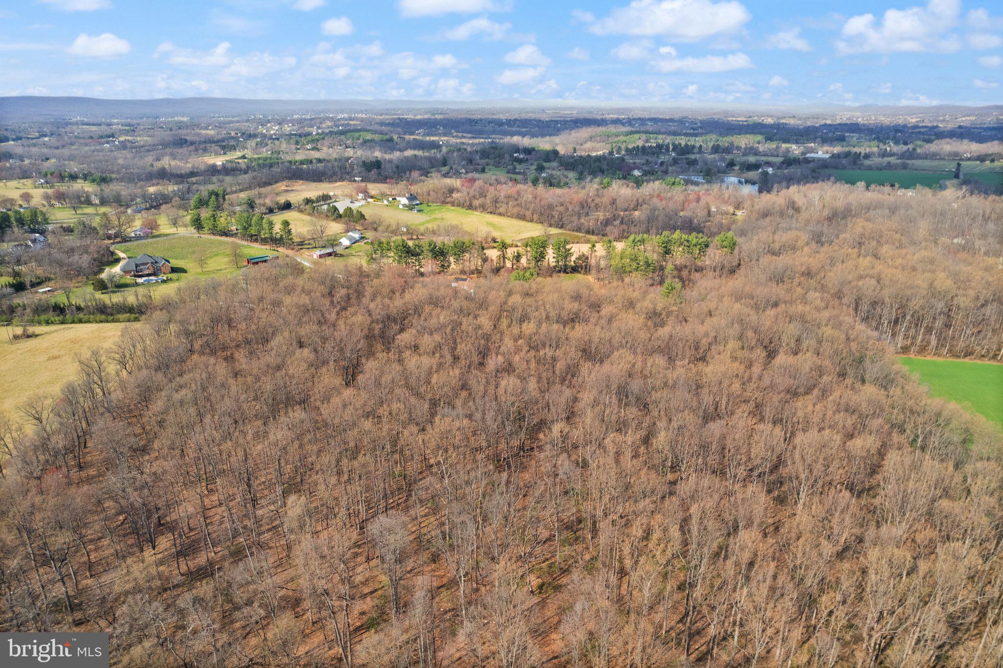 HAMILTON - Residential