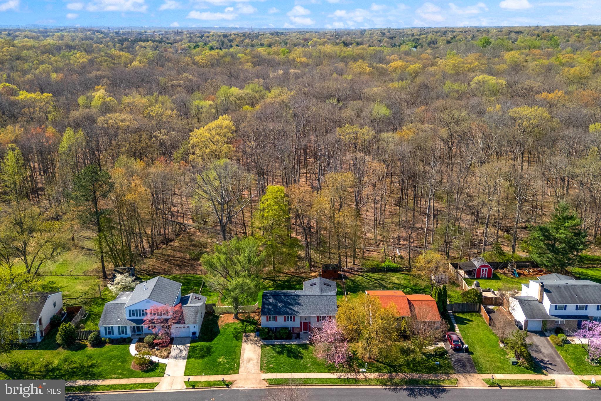 CHALET WOODS - Residential