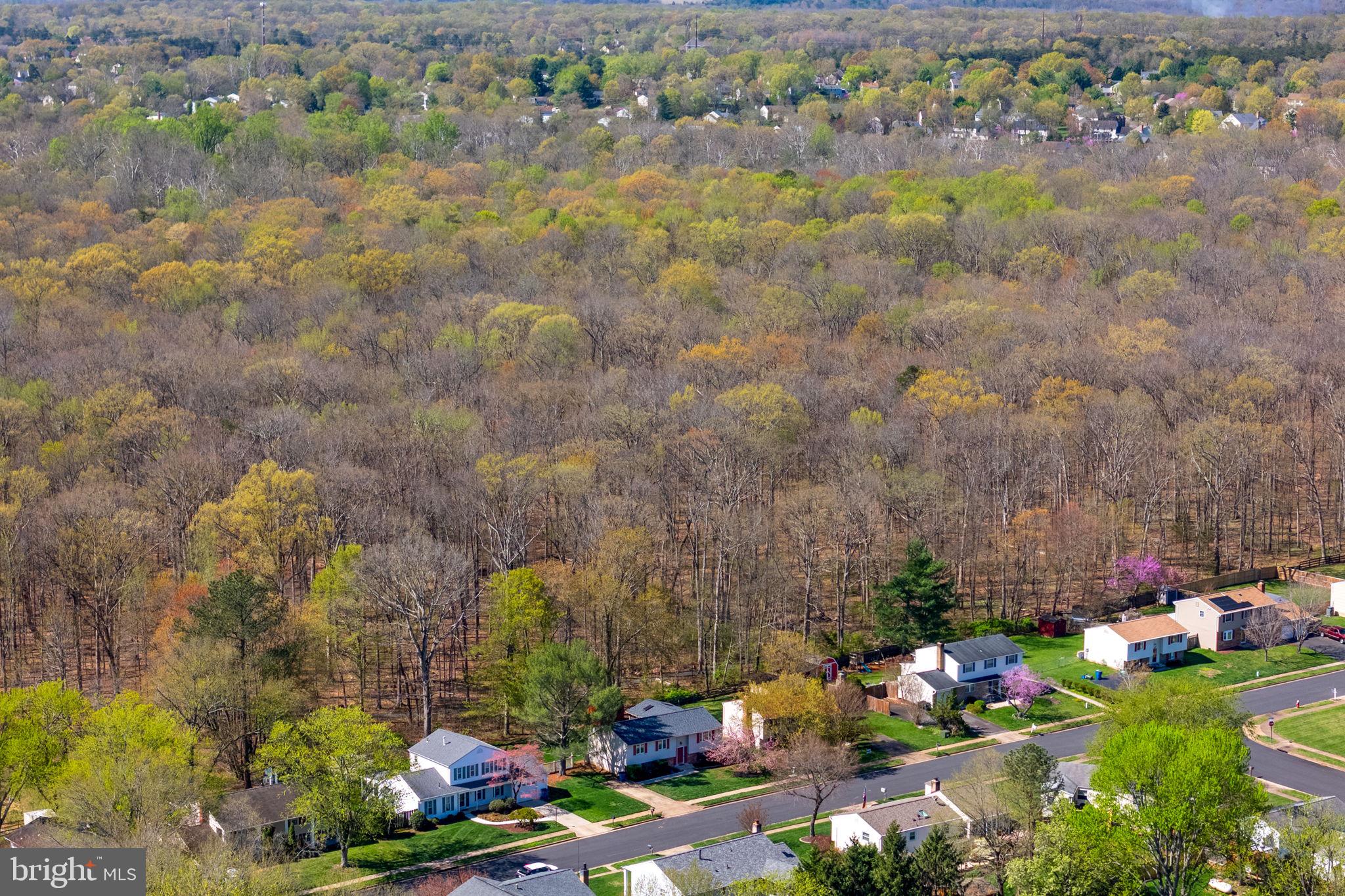 CHALET WOODS - Residential