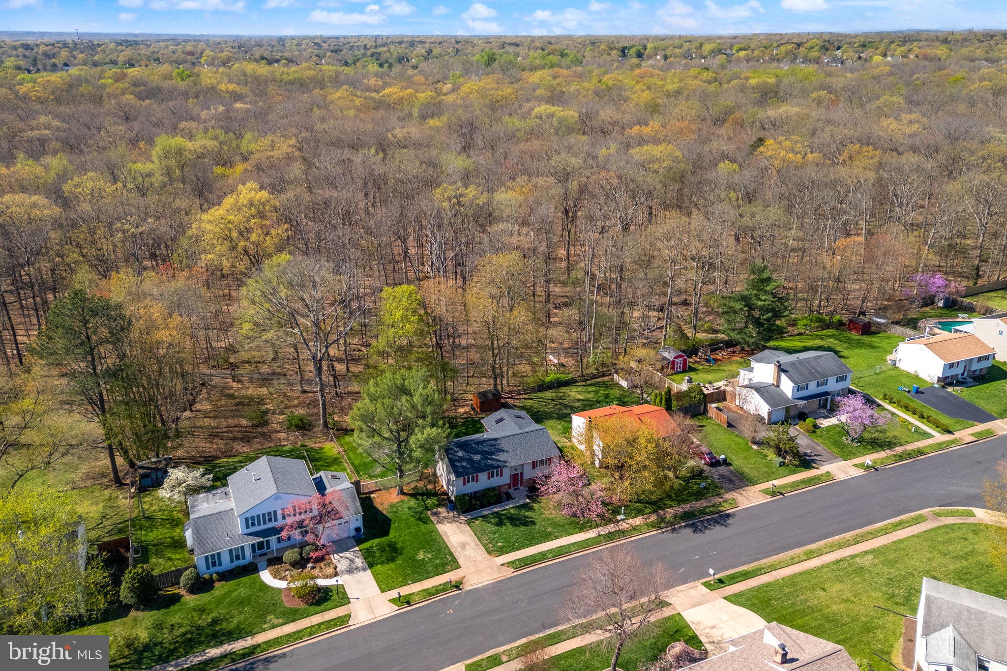 CHALET WOODS - Residential