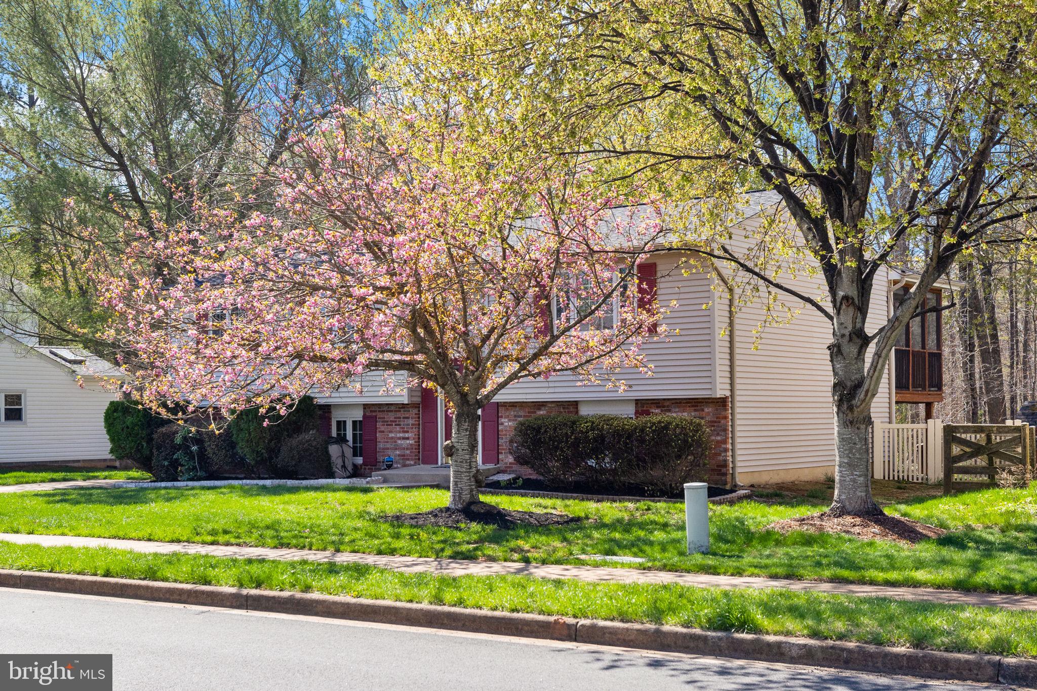 CHALET WOODS - Residential