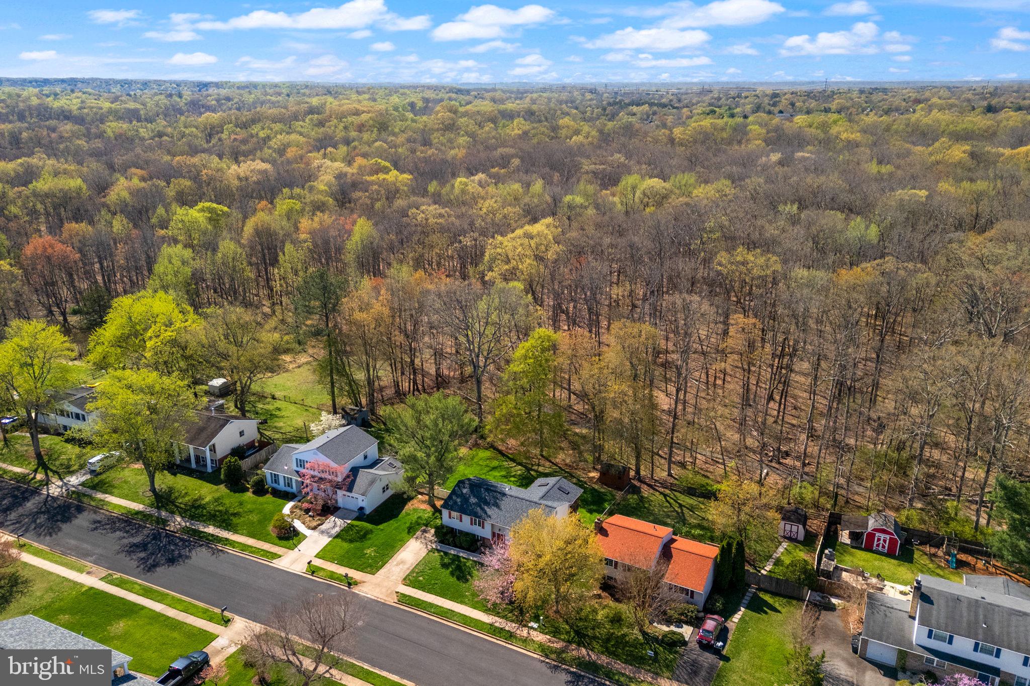 CHALET WOODS - Residential