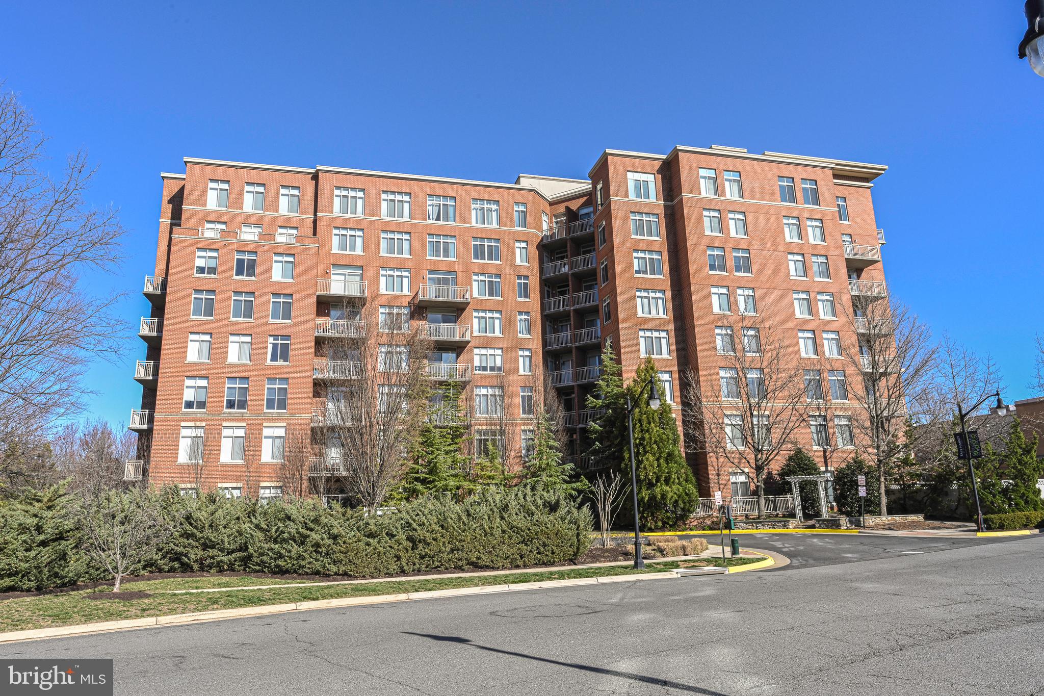 ELAN AT EAST MARKET - Residential