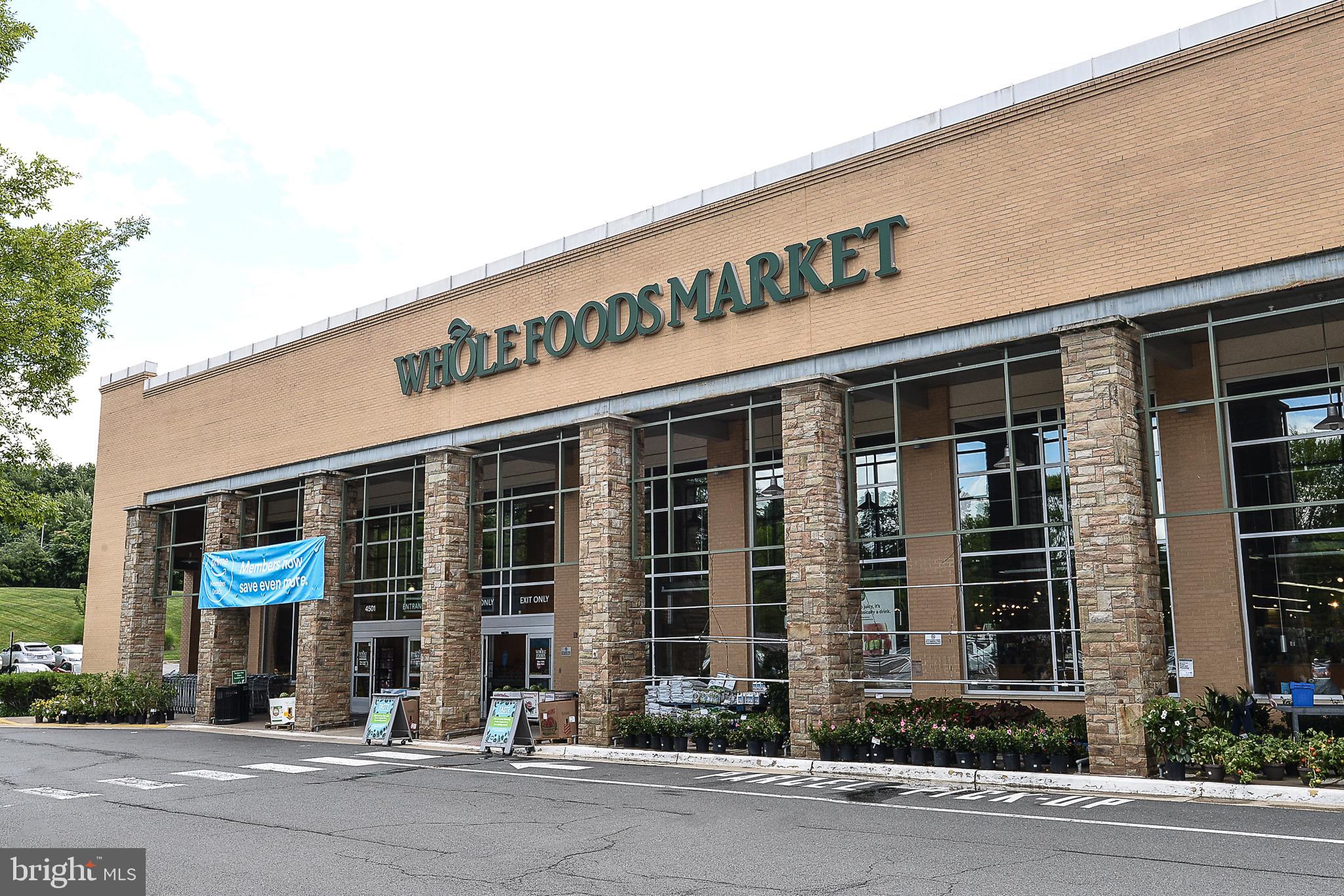 ELAN AT EAST MARKET - Residential